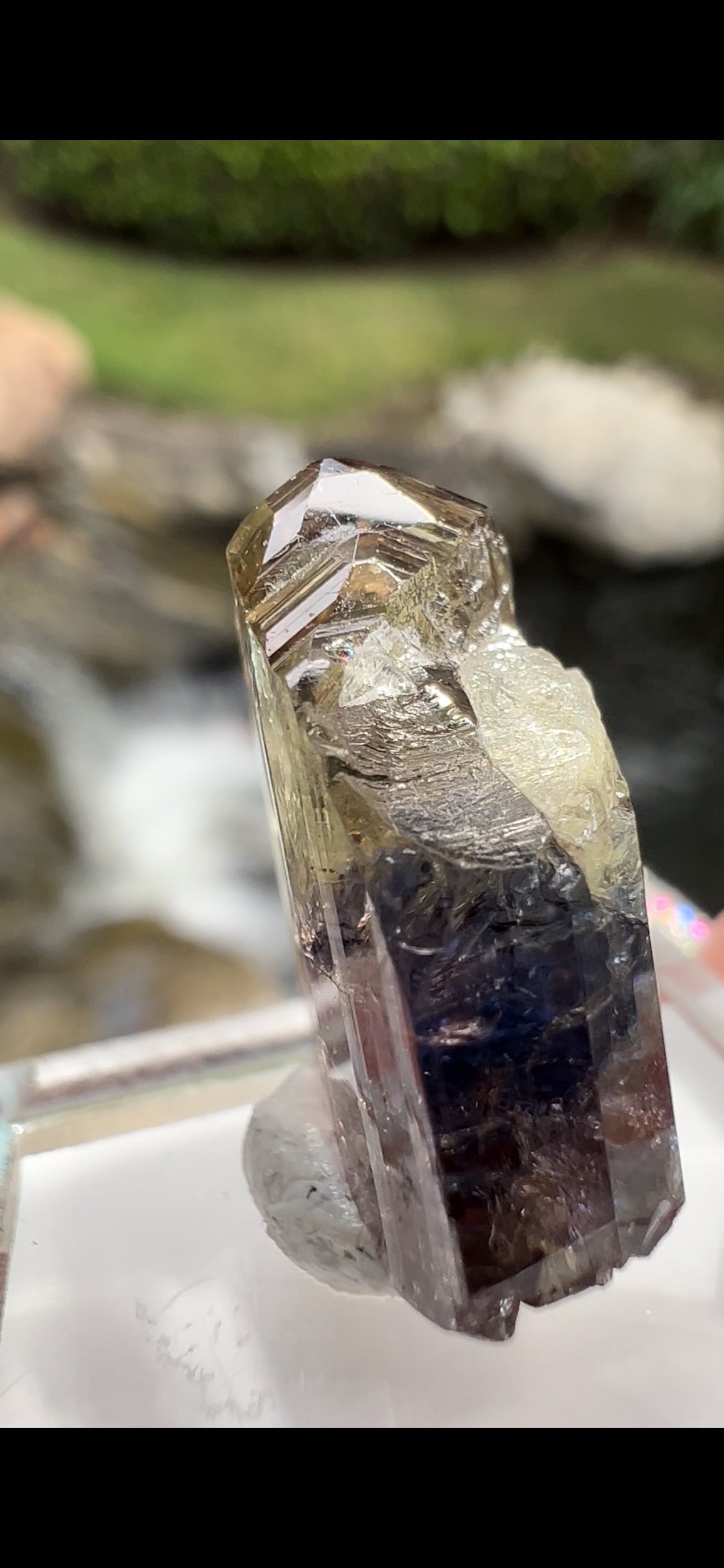 9D9F83FB-5527-42F0-B02C-C6310151FB5F