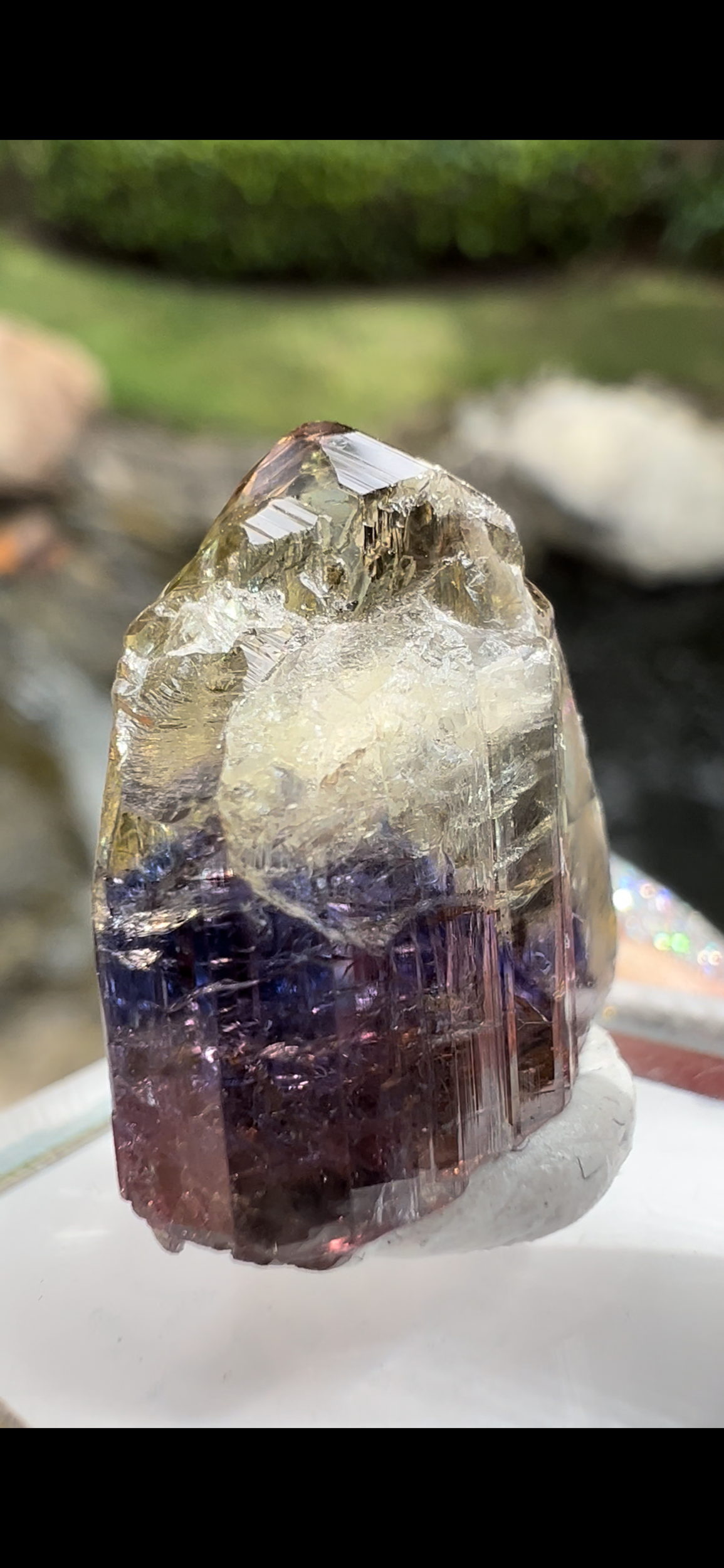 6313B33C-643B-463D-ADE3-6DFEABF0002D