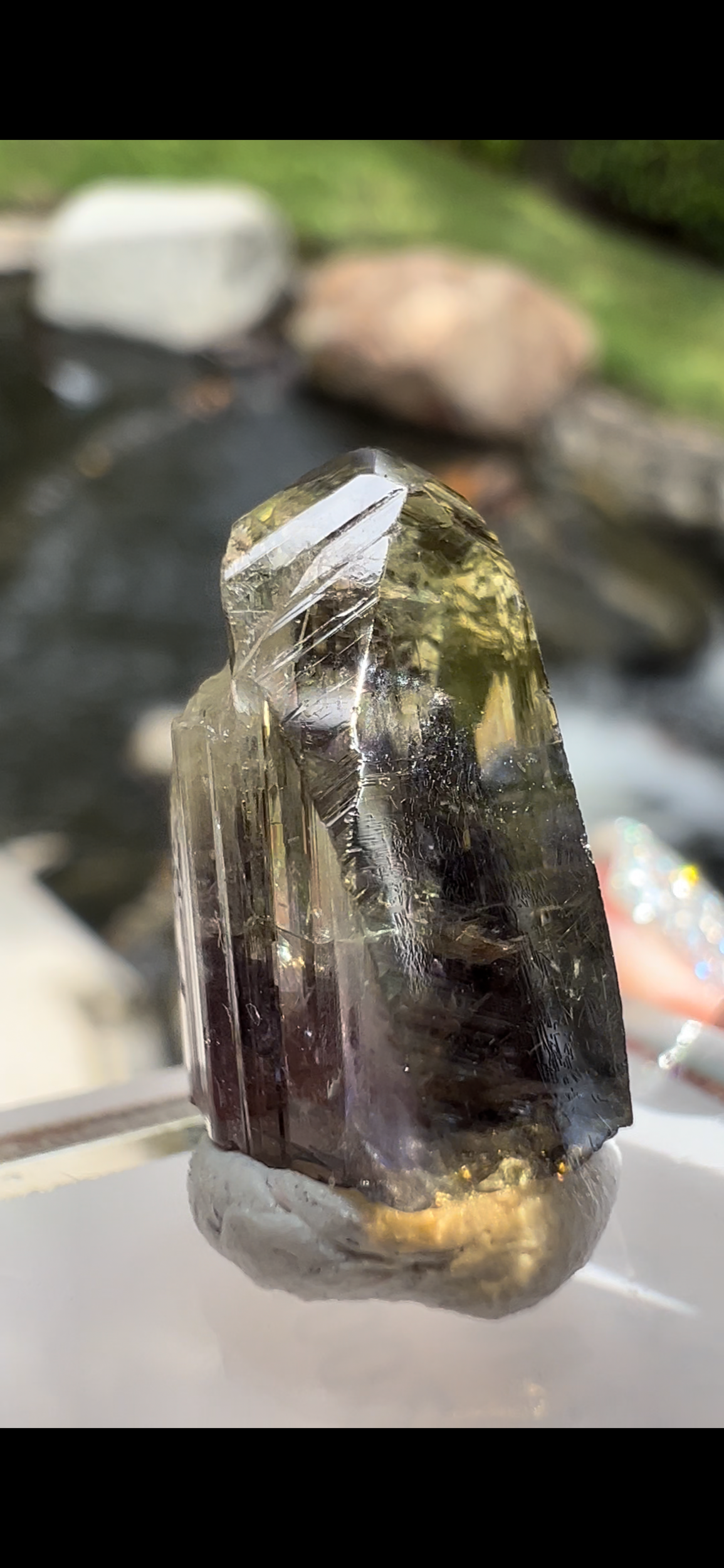 B125EBF1-2DE4-400E-8B71-F198D723D337