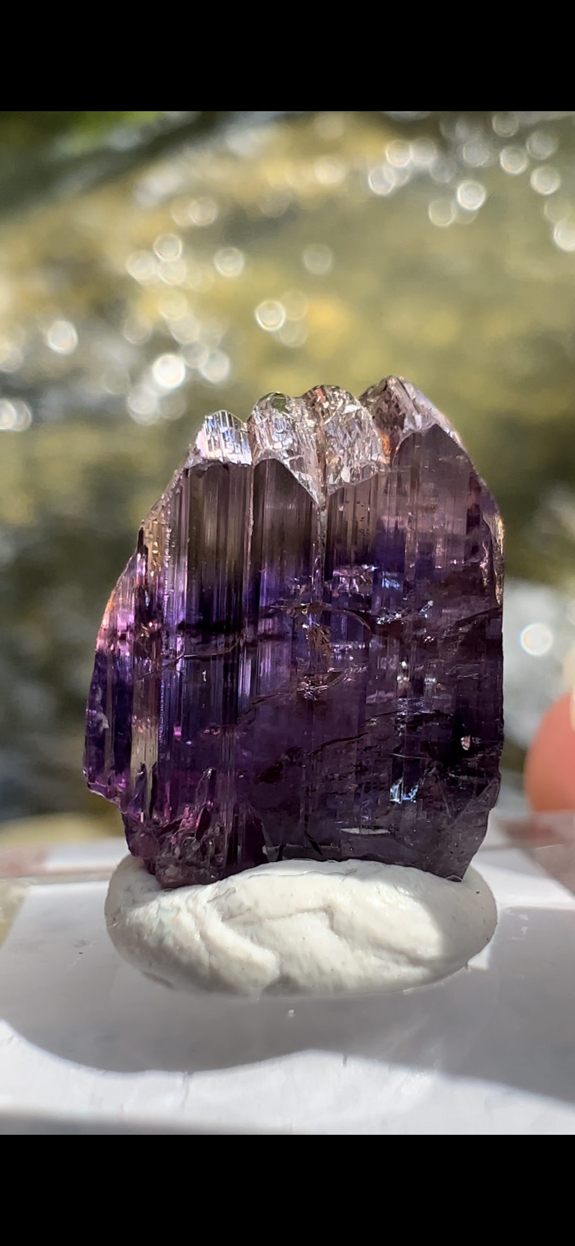 EE261470-D936-4A51-B3AC-28DA6A2A5F0A