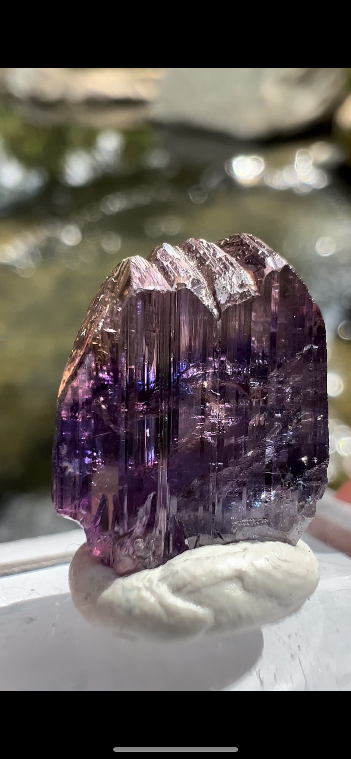 40FC570D-119D-43D7-BA1F-0316F0BBE8D5