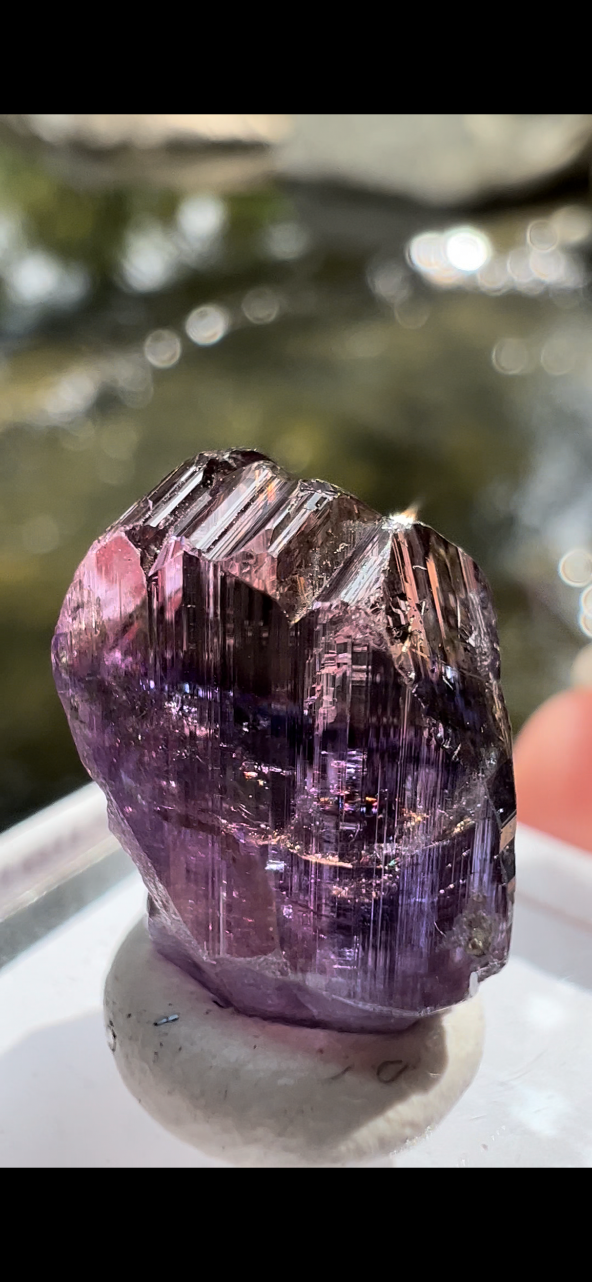 C0C602D3-98CA-4440-8D89-32C76D78E516