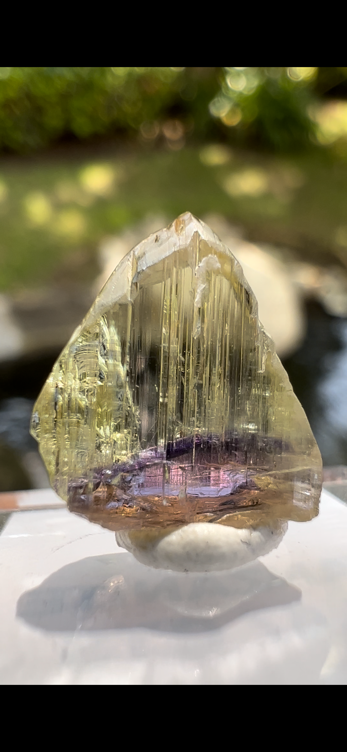 EE27B68A-63D8-40D0-8B52-473EEDF48D9C