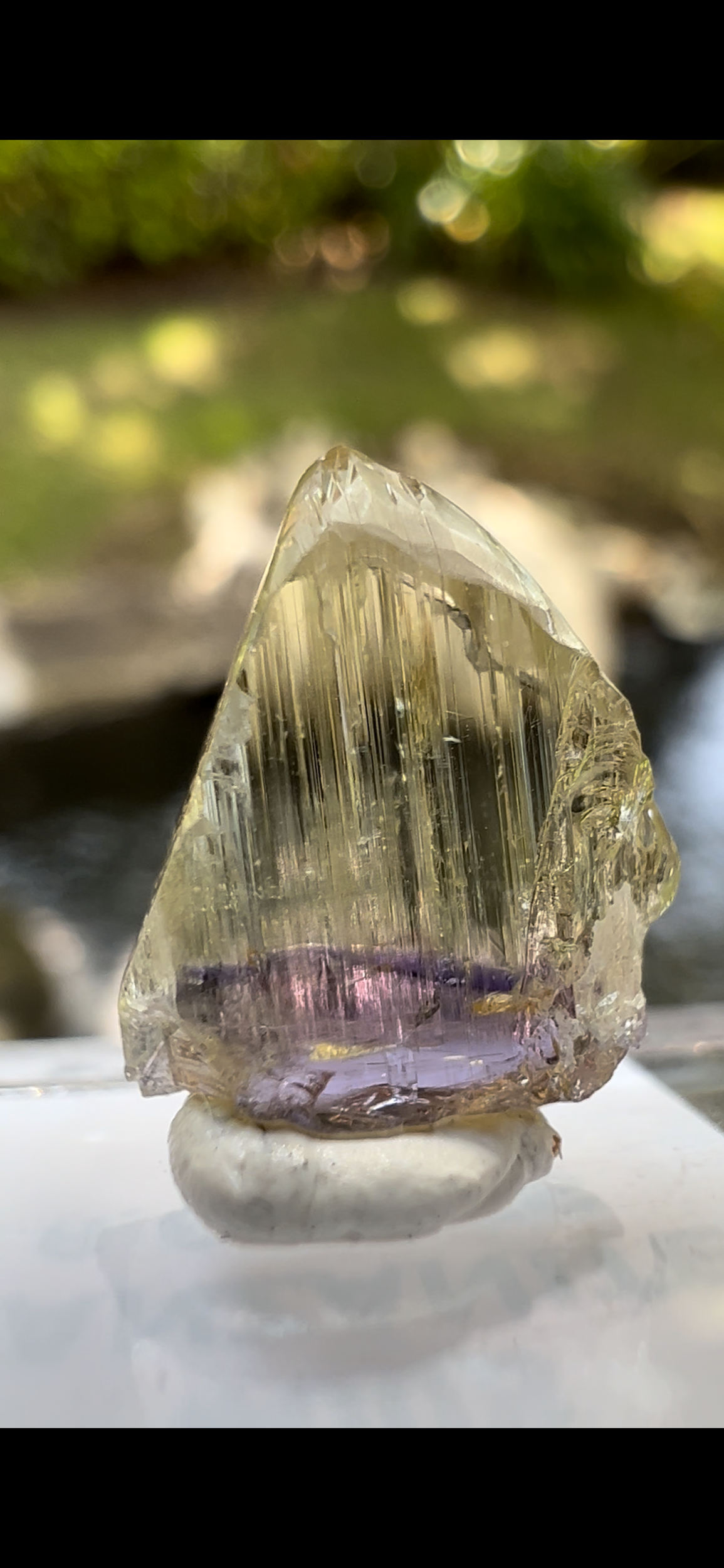 DF23C35E-10C6-4F25-9CCC-C0C5AE2A9EA3