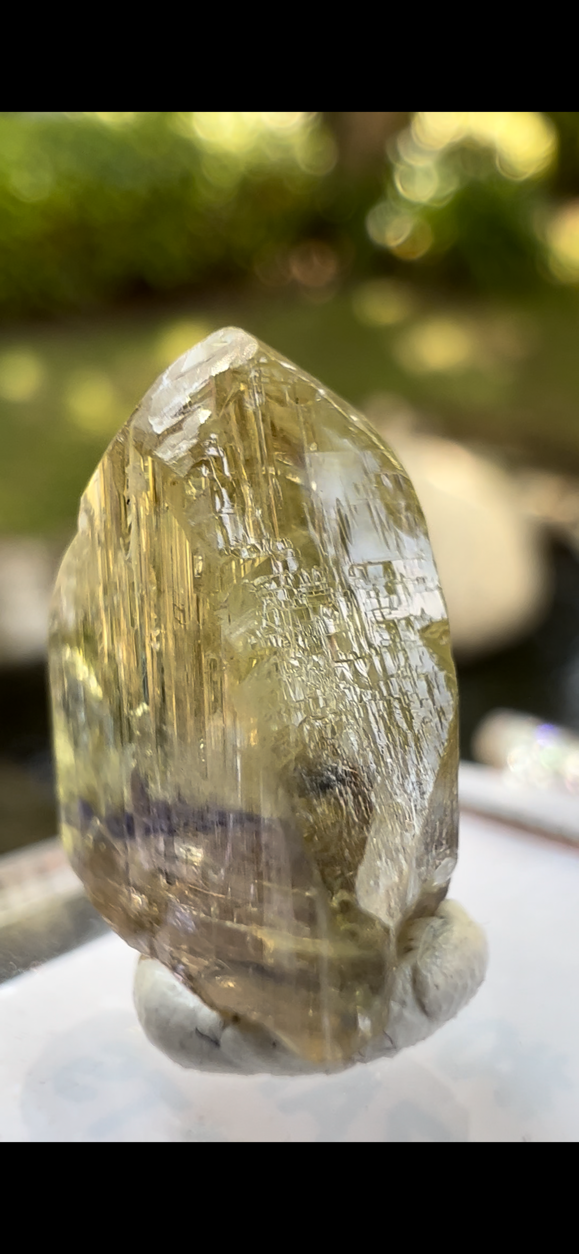 4AB0FB45-500D-43BC-B0E9-D81E1501F106