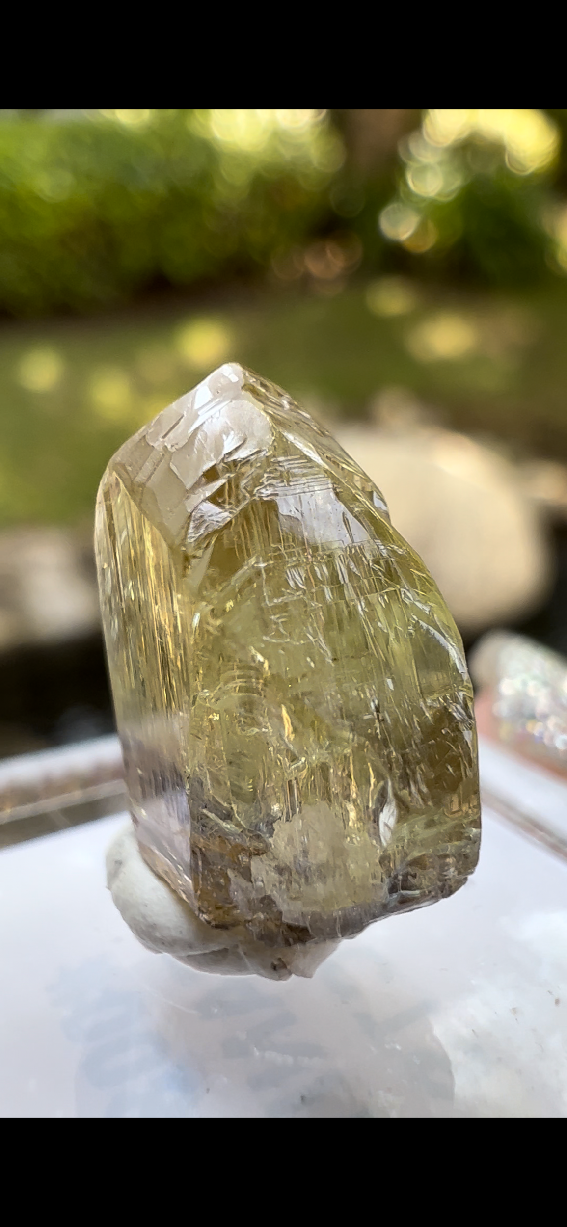 8F93FB48-74ED-401B-8F2D-4B0937A56501