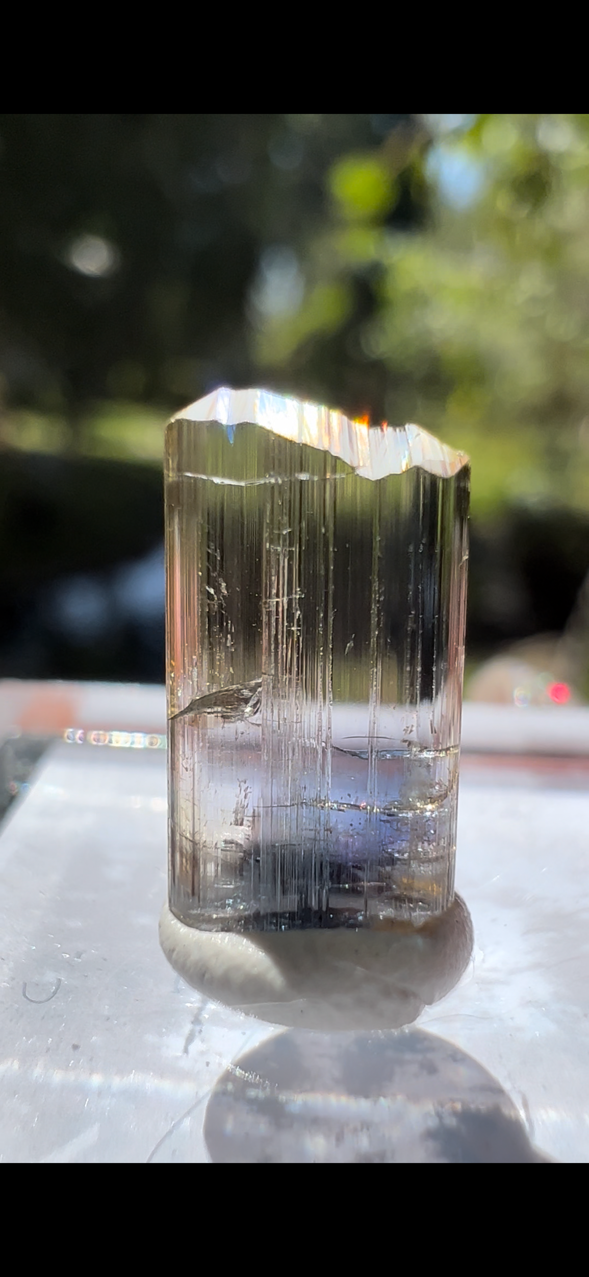 50F712A7-0456-4EE2-ACBA-7C55C24FE3D3