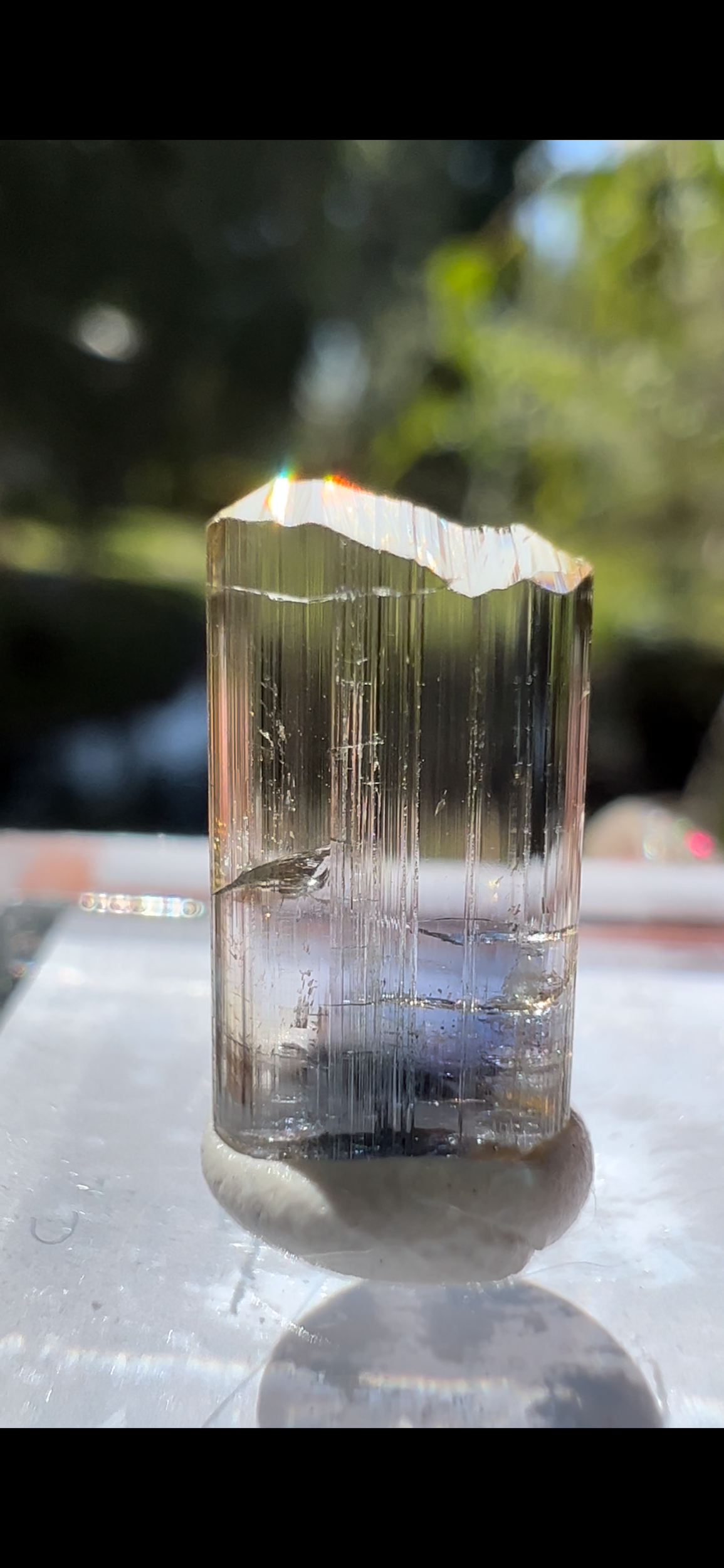 CA88FE2E-4D9B-4141-86F8-99FB55D82915