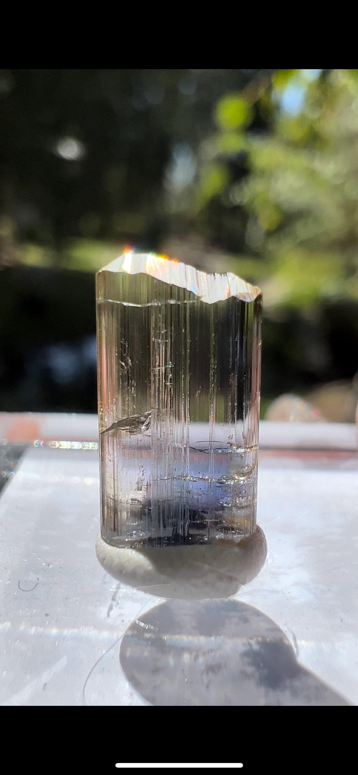 1D6D39BE-F903-4BFA-A64A-D1D915786930