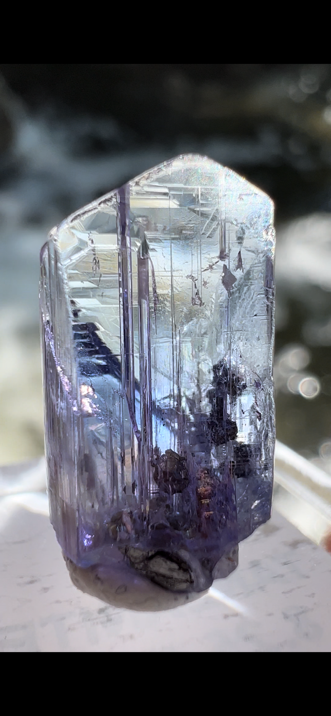 E16BF94F-4CC4-4838-9ABC-8200C22A34B2