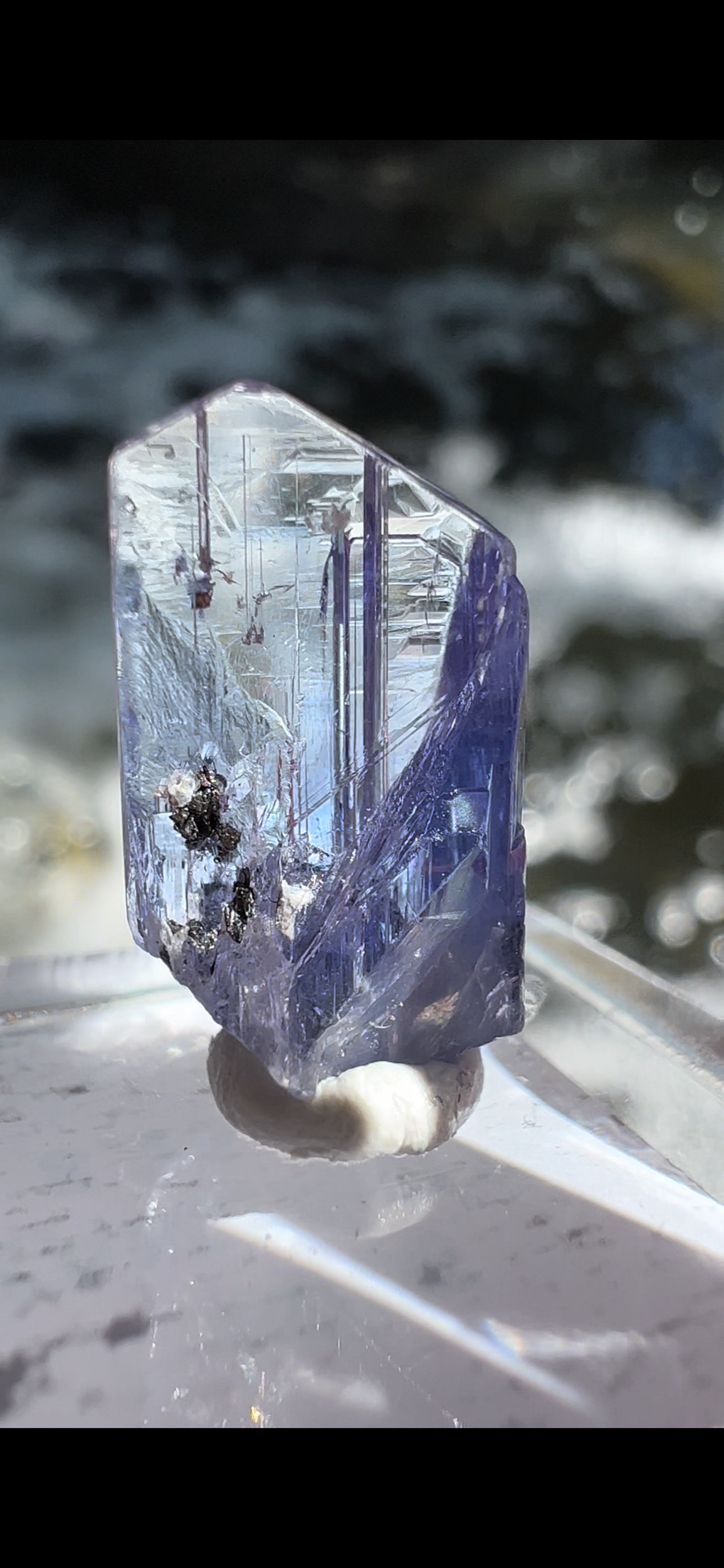 0F2382F7-2762-4EBC-81DC-91D6B519FE56