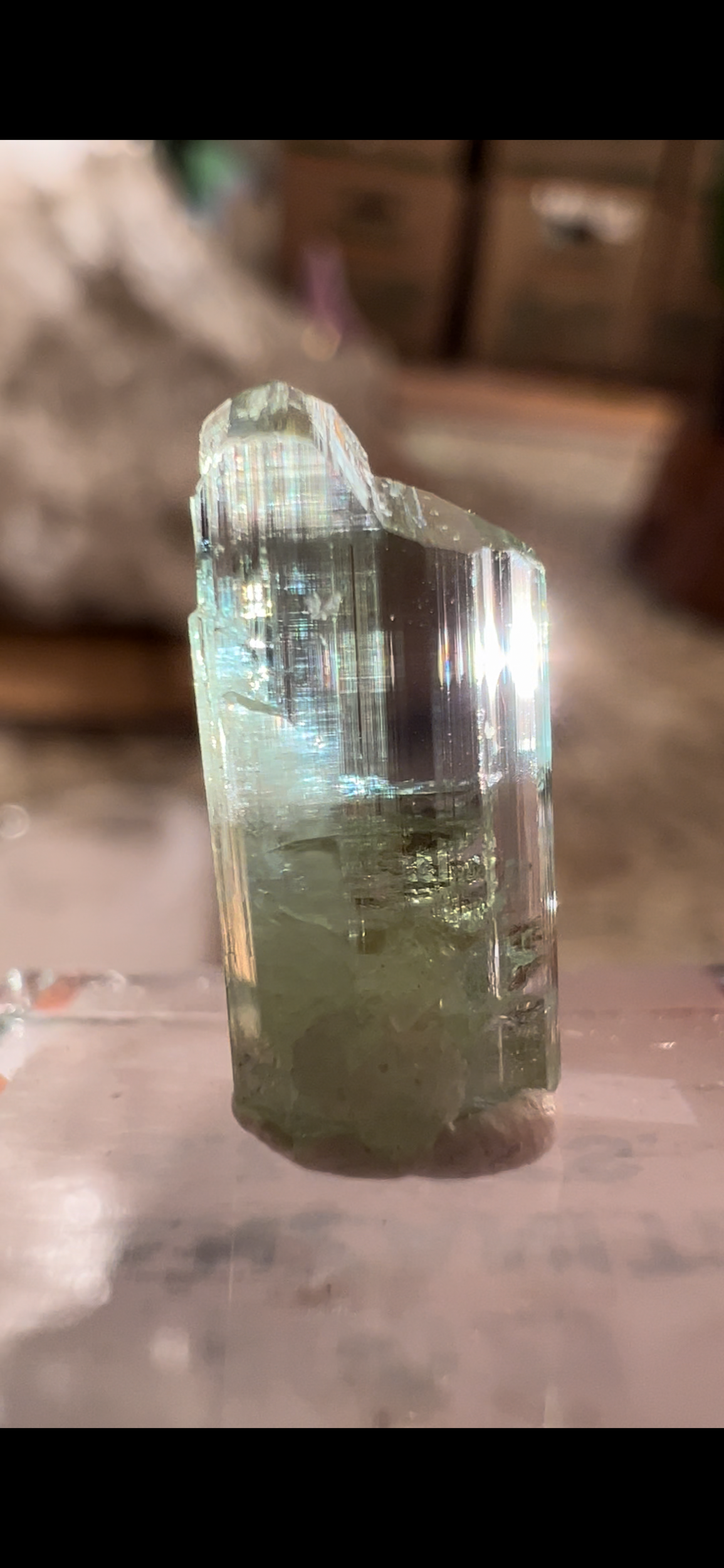 2EA046FE-F899-4471-8B78-305C7CD732D5