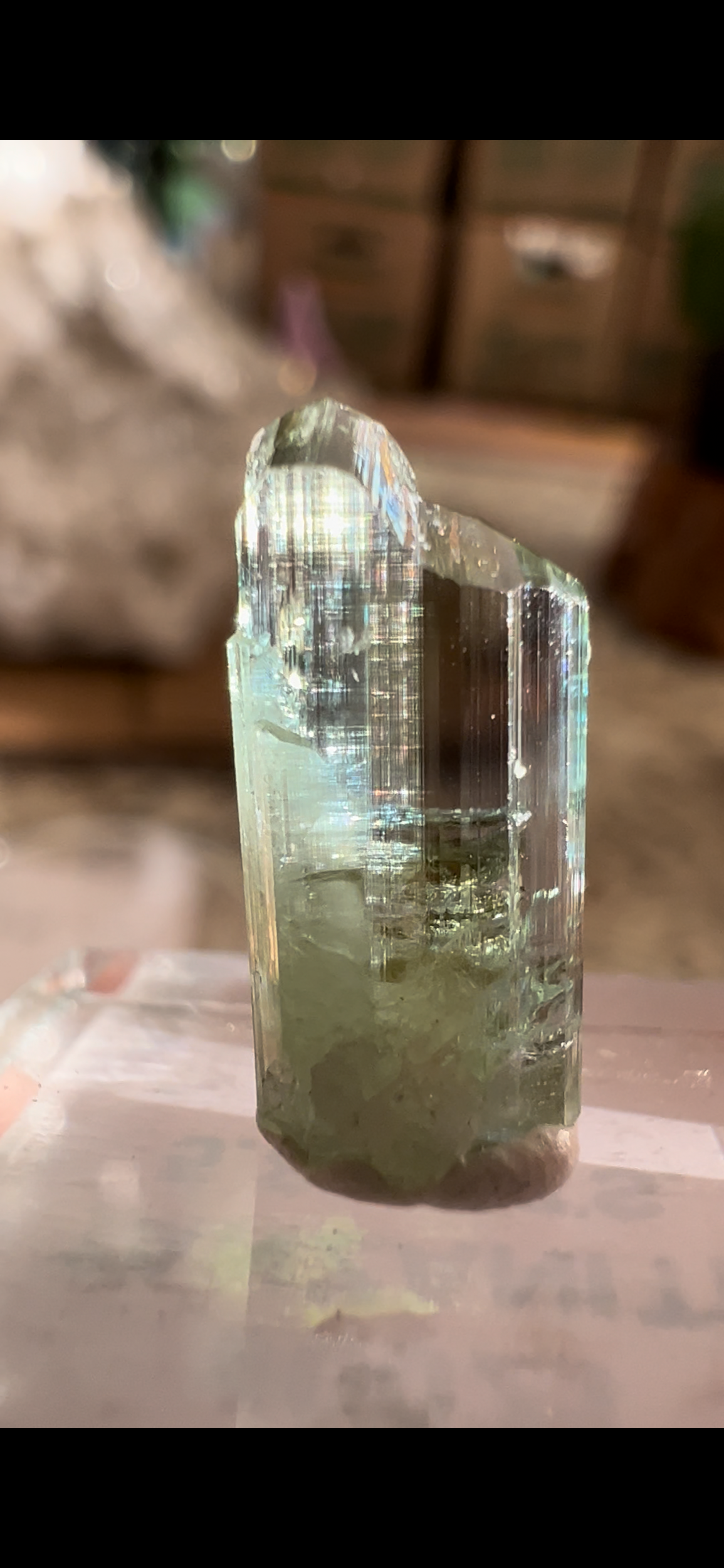 846FCCE5-7F4B-45CE-BD94-E112387548E2