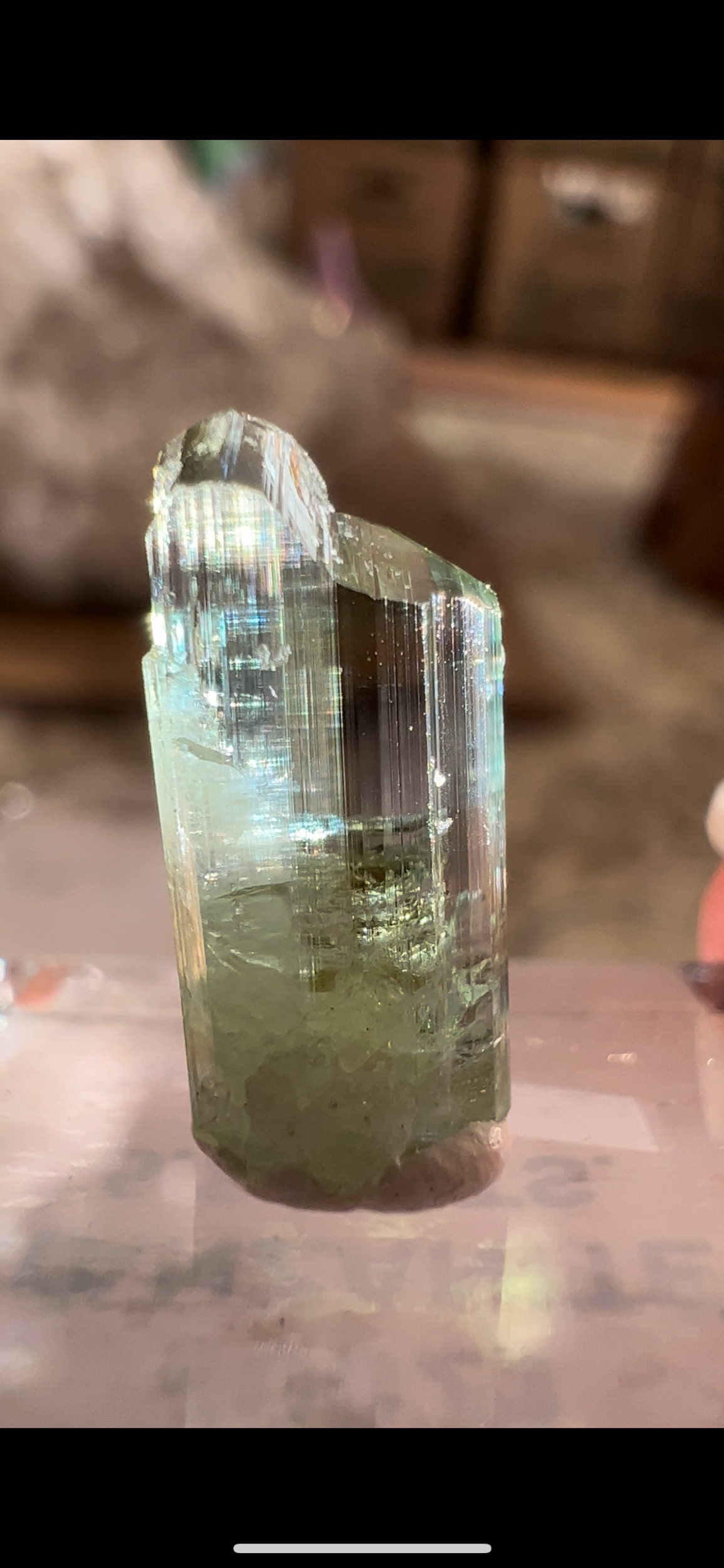 B137761C-CCC4-4C70-B477-F91A6620C3AF