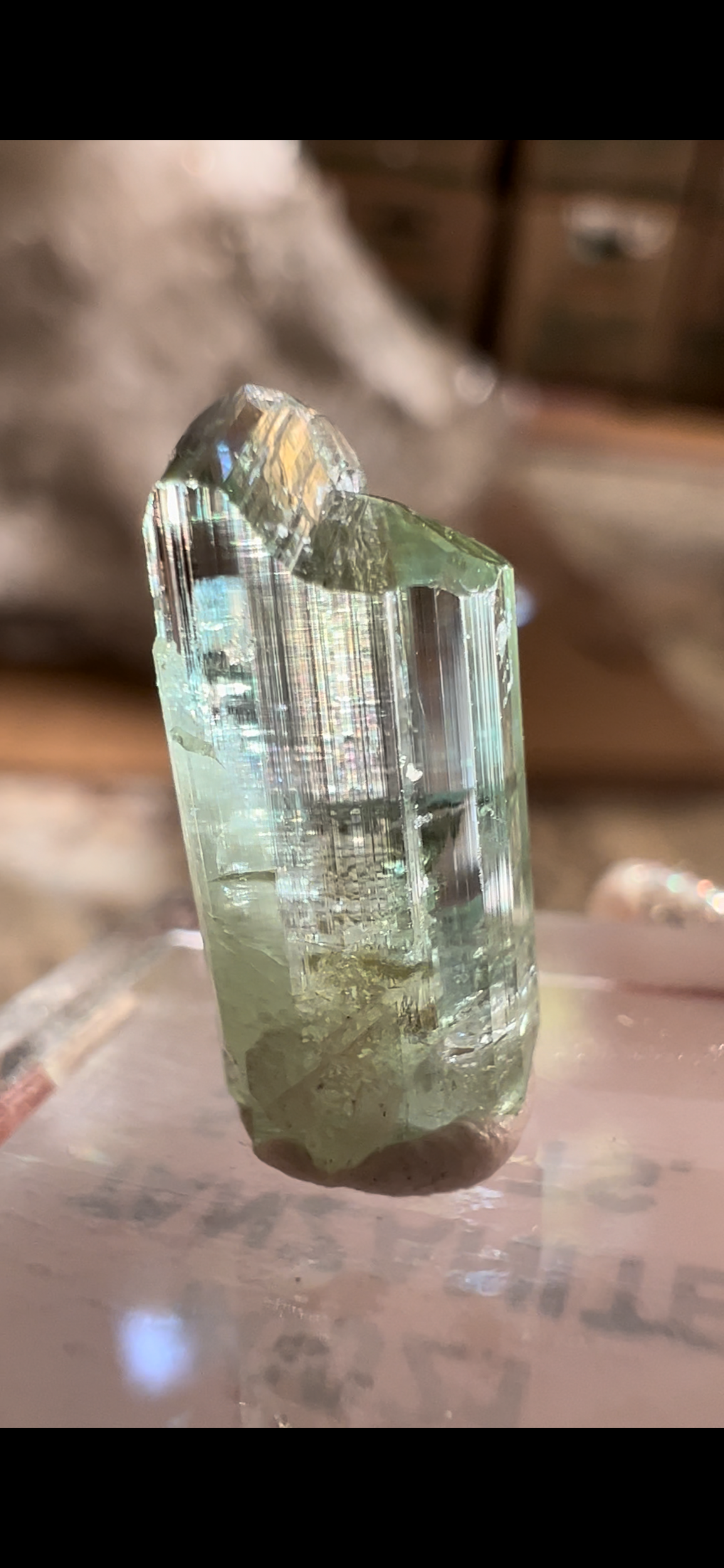 FB0D601E-B522-441A-8277-02F0BCEA0512