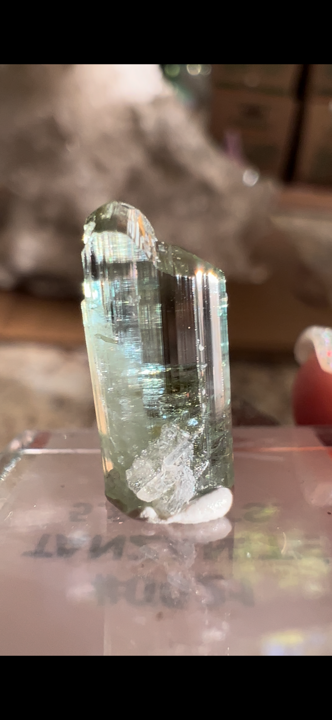 3F504D59-0F81-4497-AE19-DD8EC88F373D