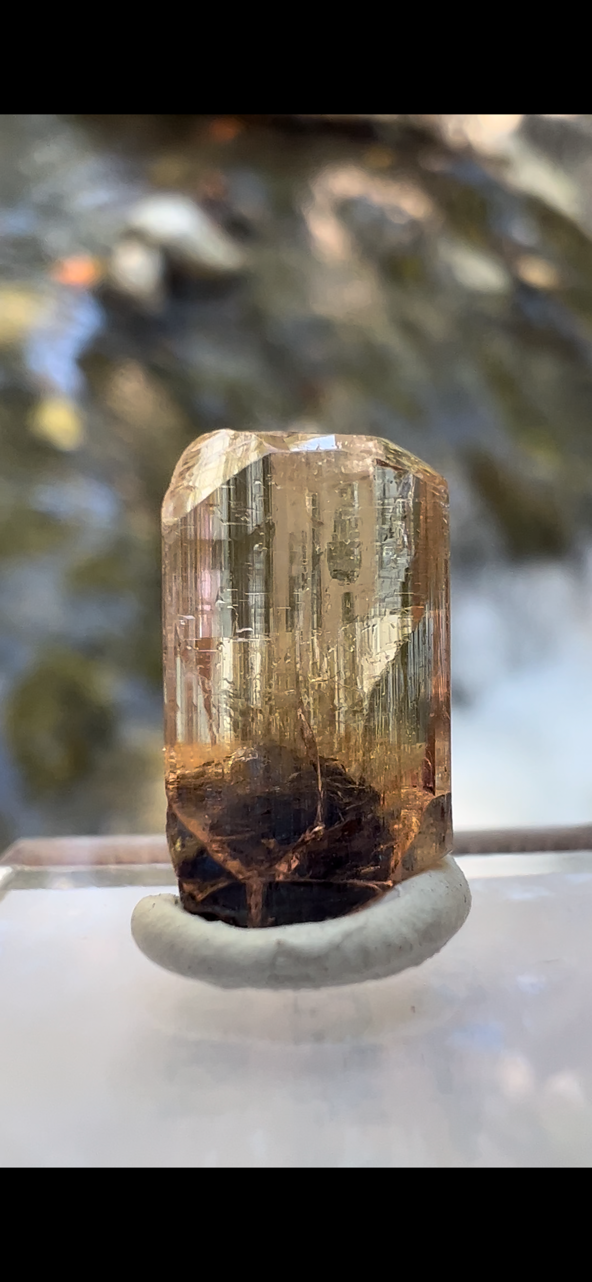 5ED3F6DA-DB2C-4575-85E6-8EE4C28E91C3