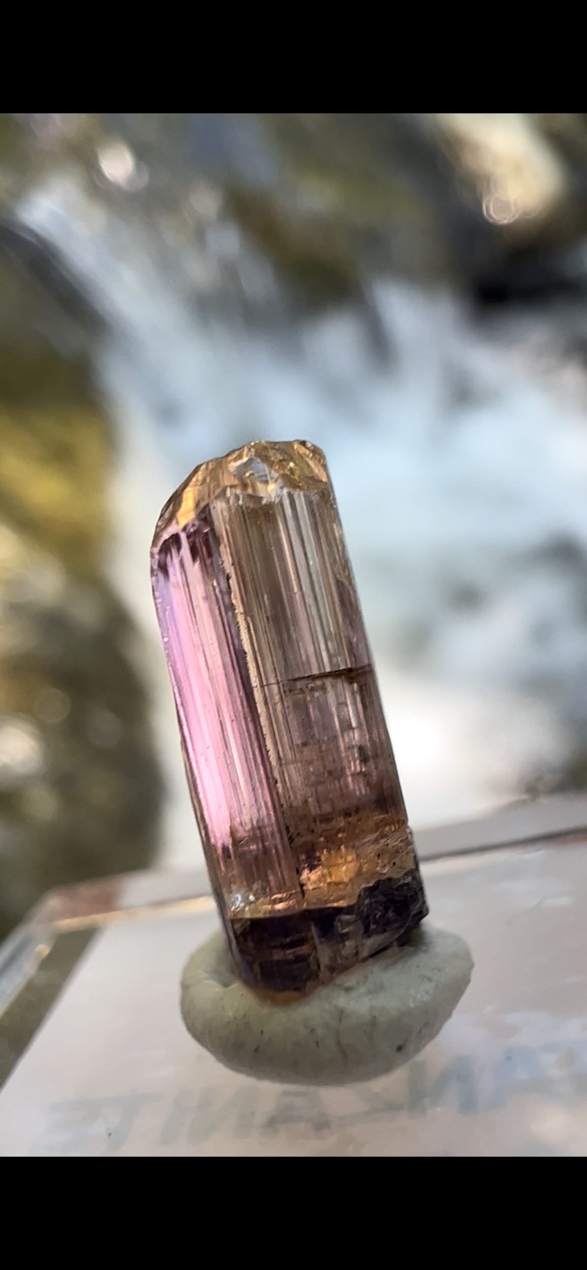 EA083626-7386-404B-A2F7-DD46C1551BEA