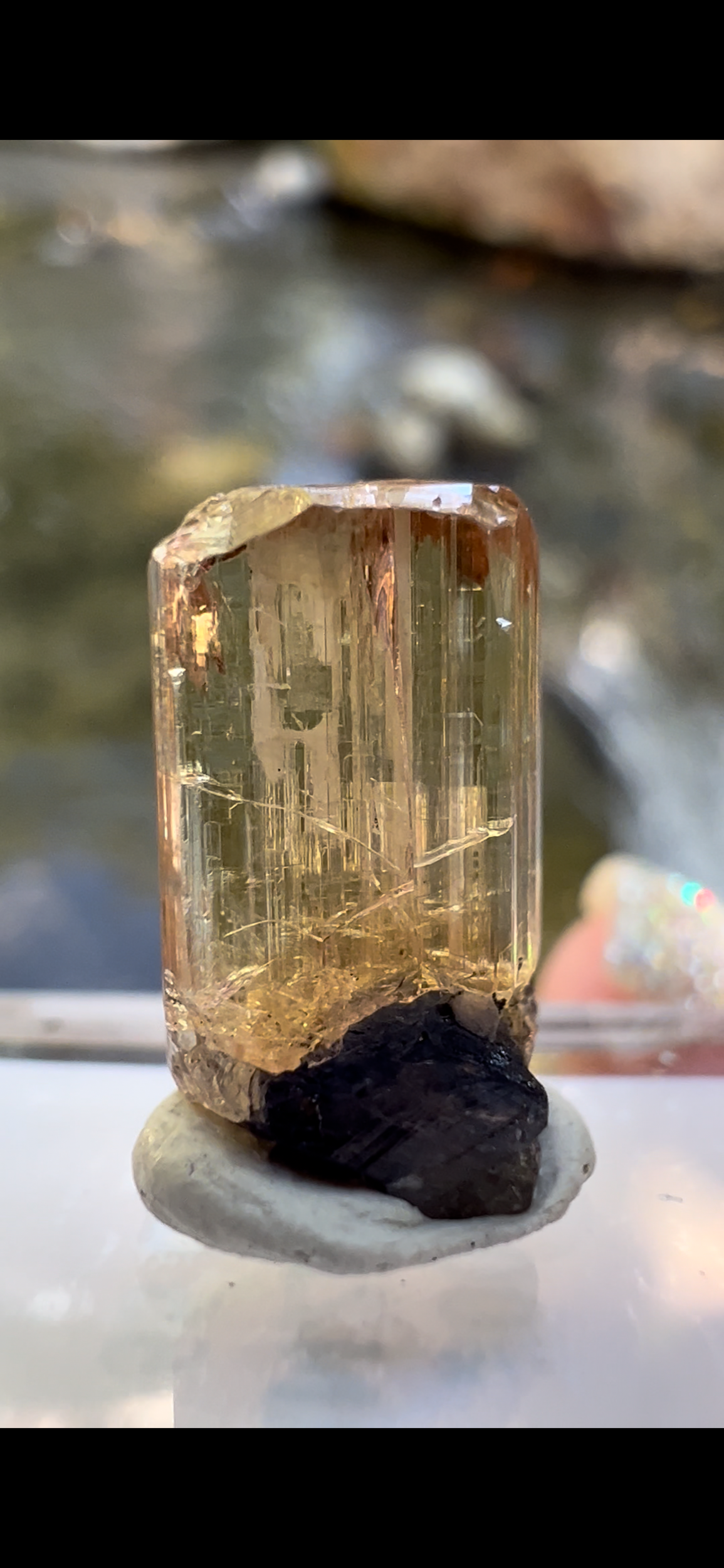 B49E716E-604B-499D-9114-B0DF8406DA18