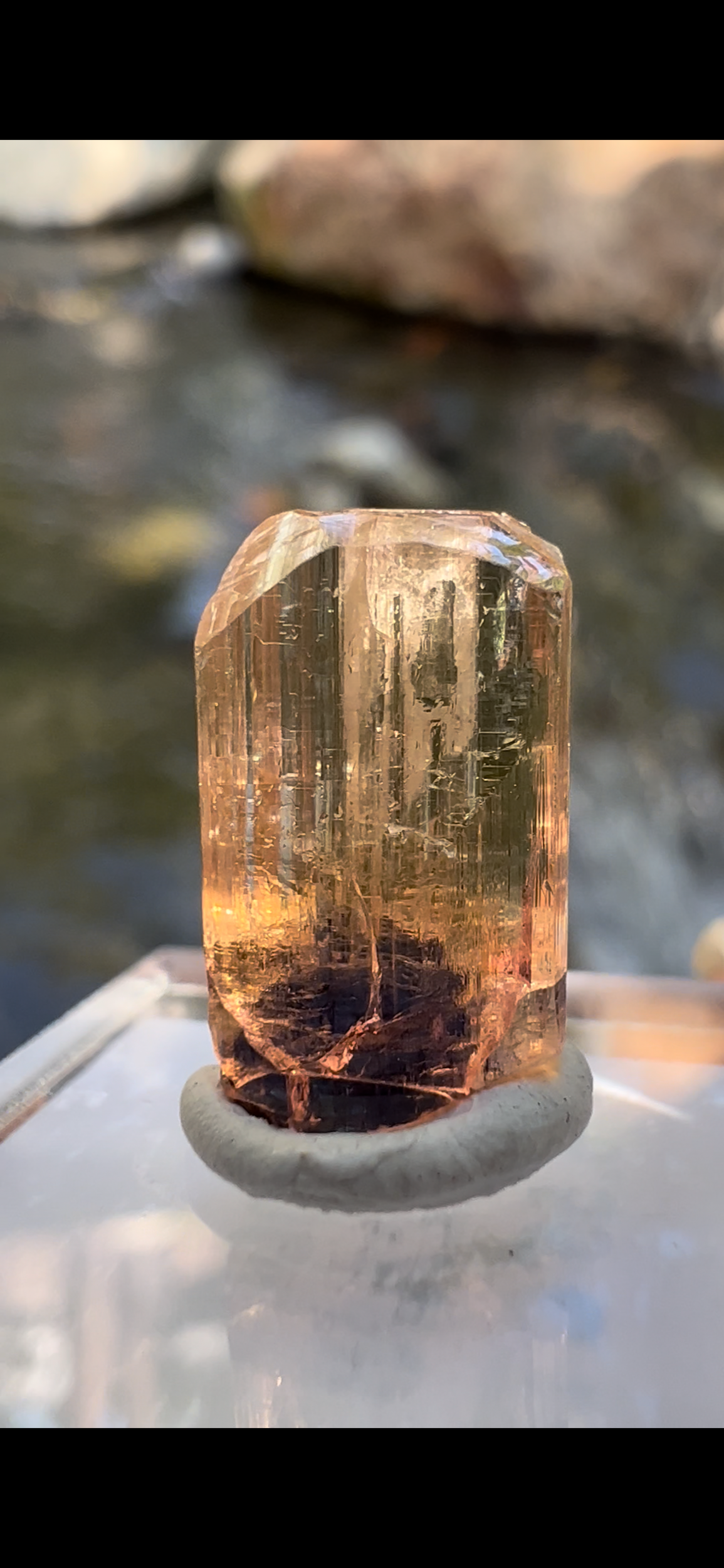 92F8BCD8-64E8-4FEB-9AEA-215A985086C6