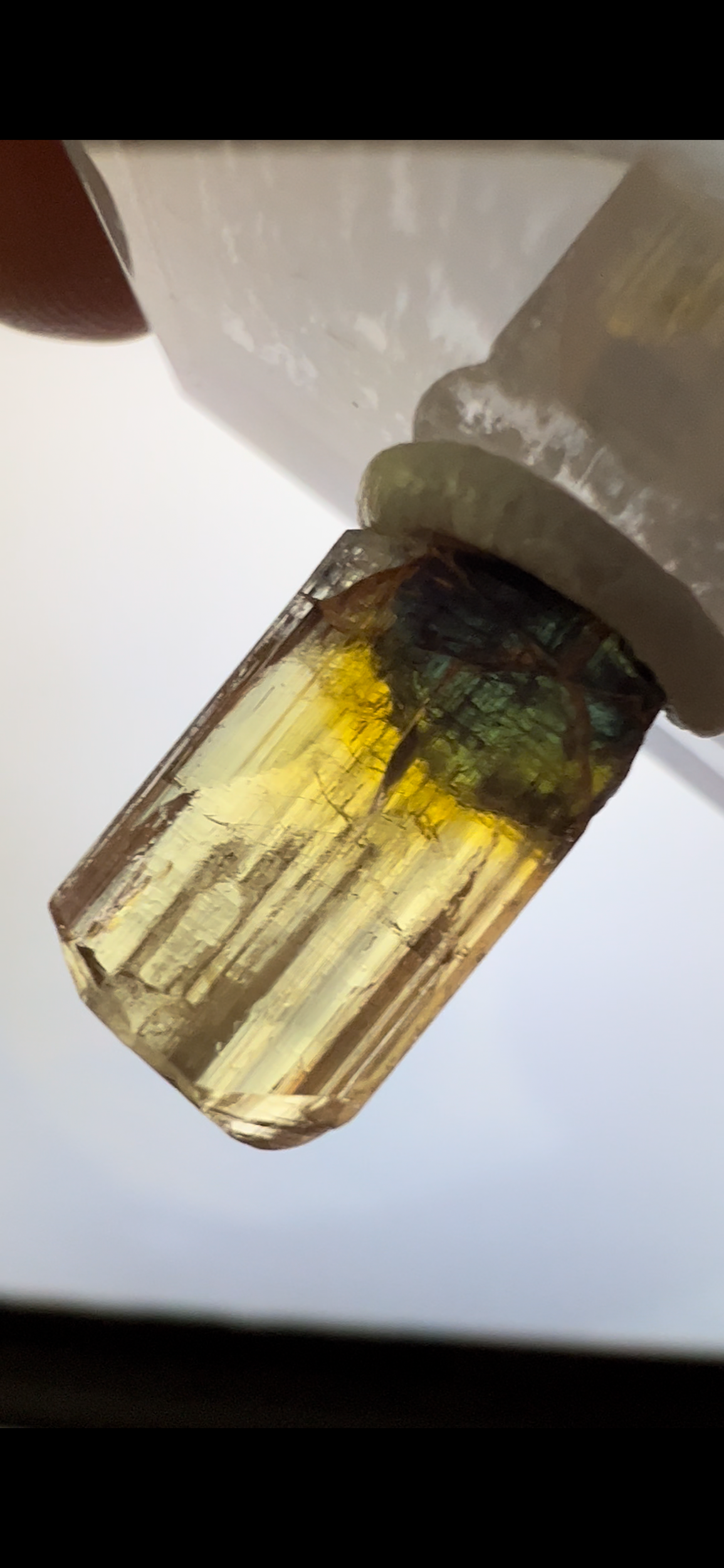 1903ECAF-DE9F-409A-8A52-39C9A75E0D39