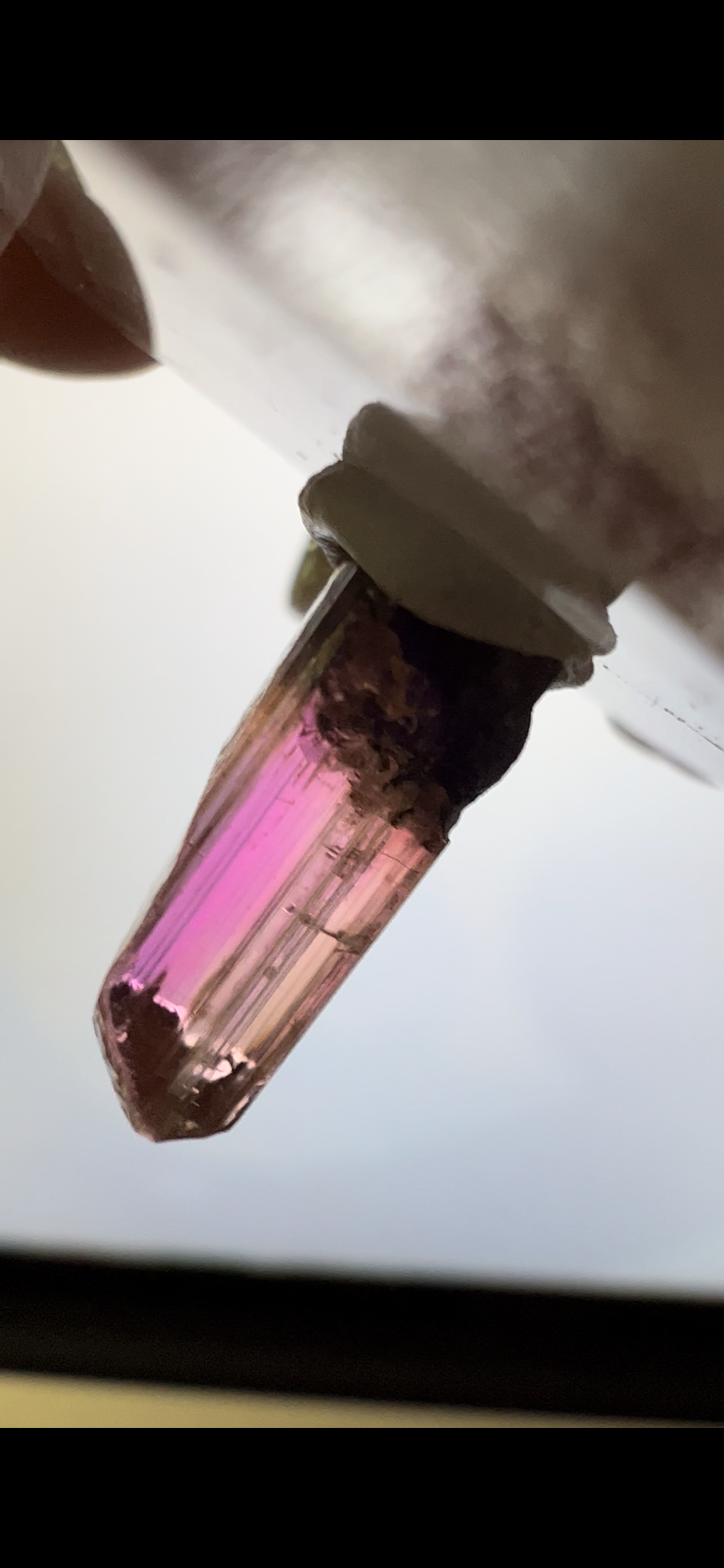 836C8F1B-A412-48C5-89F9-144F8413F665