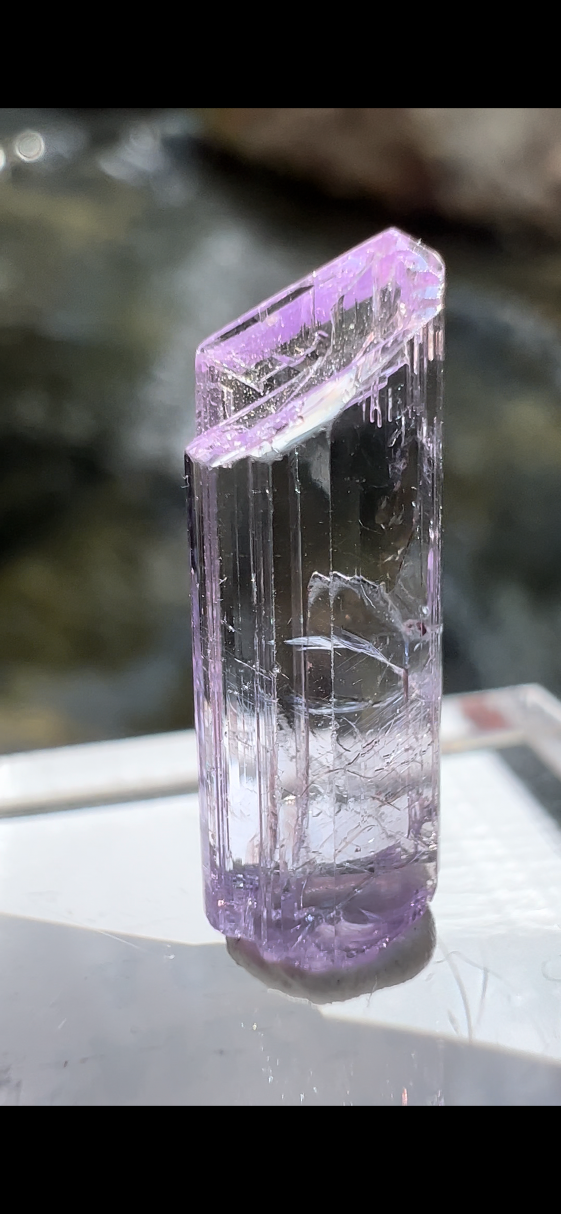 FC25BD14-92C4-4B28-91FF-448010AAFFAD