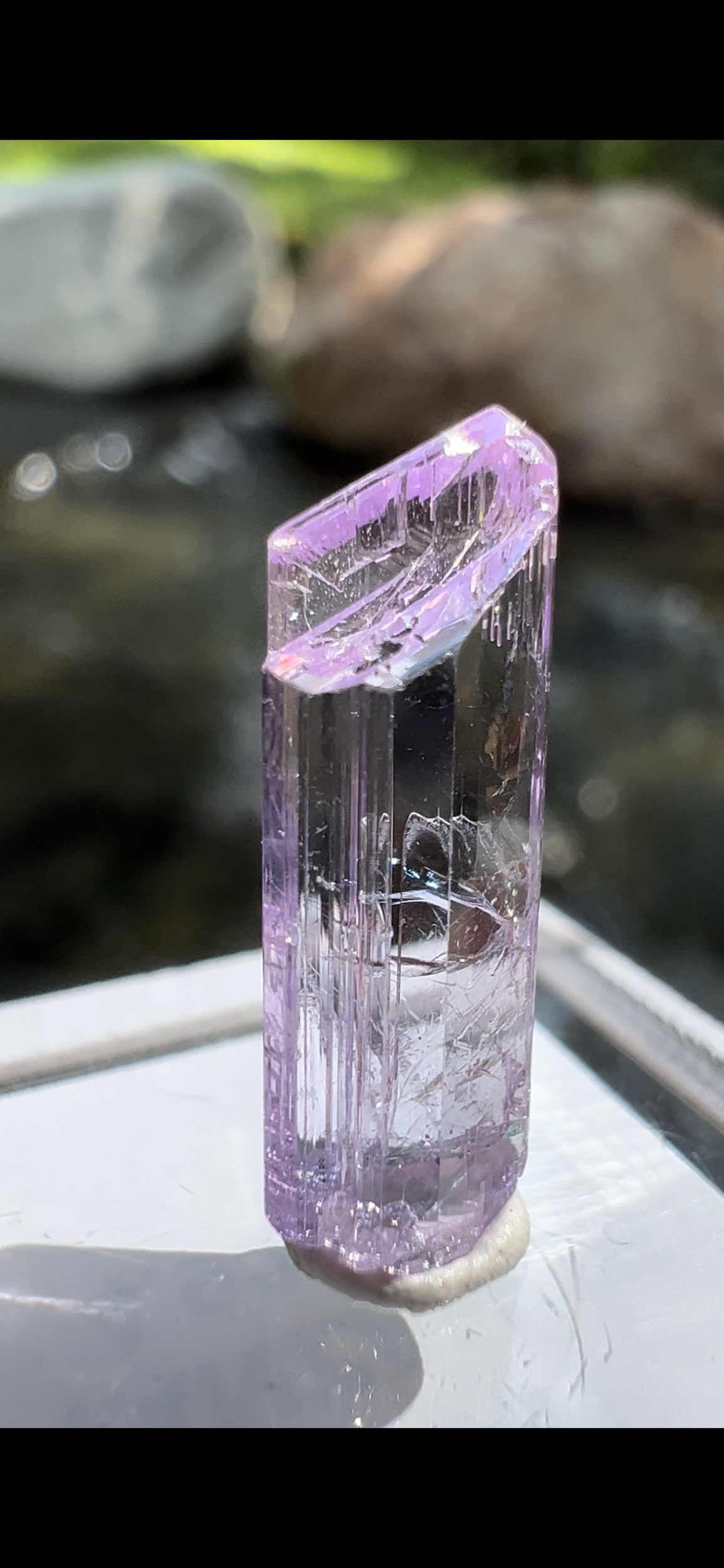 D8CD460A-B81B-4A93-AAEA-1EDB6FAEC747