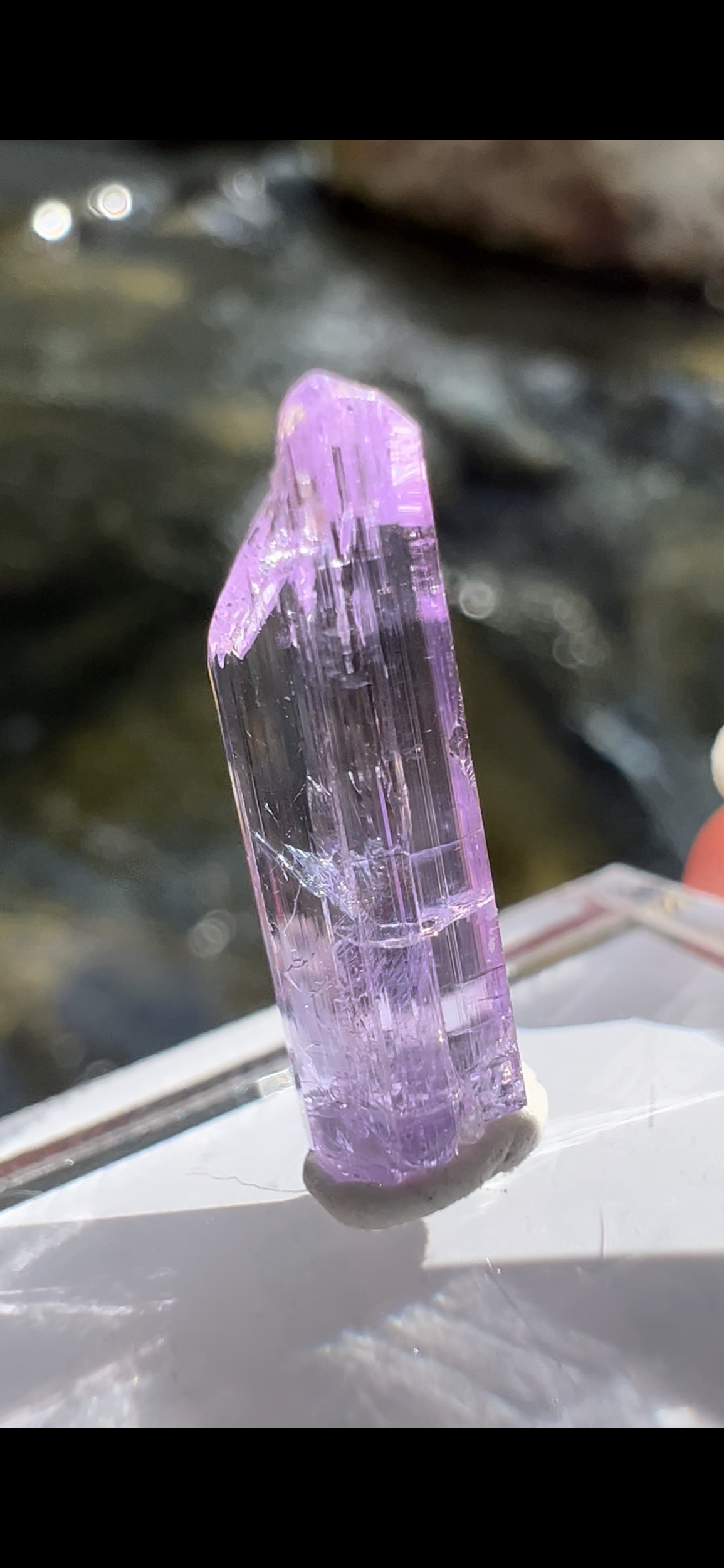 E9A345DC-5D9E-4A10-A7DB-E70E5D7C1278