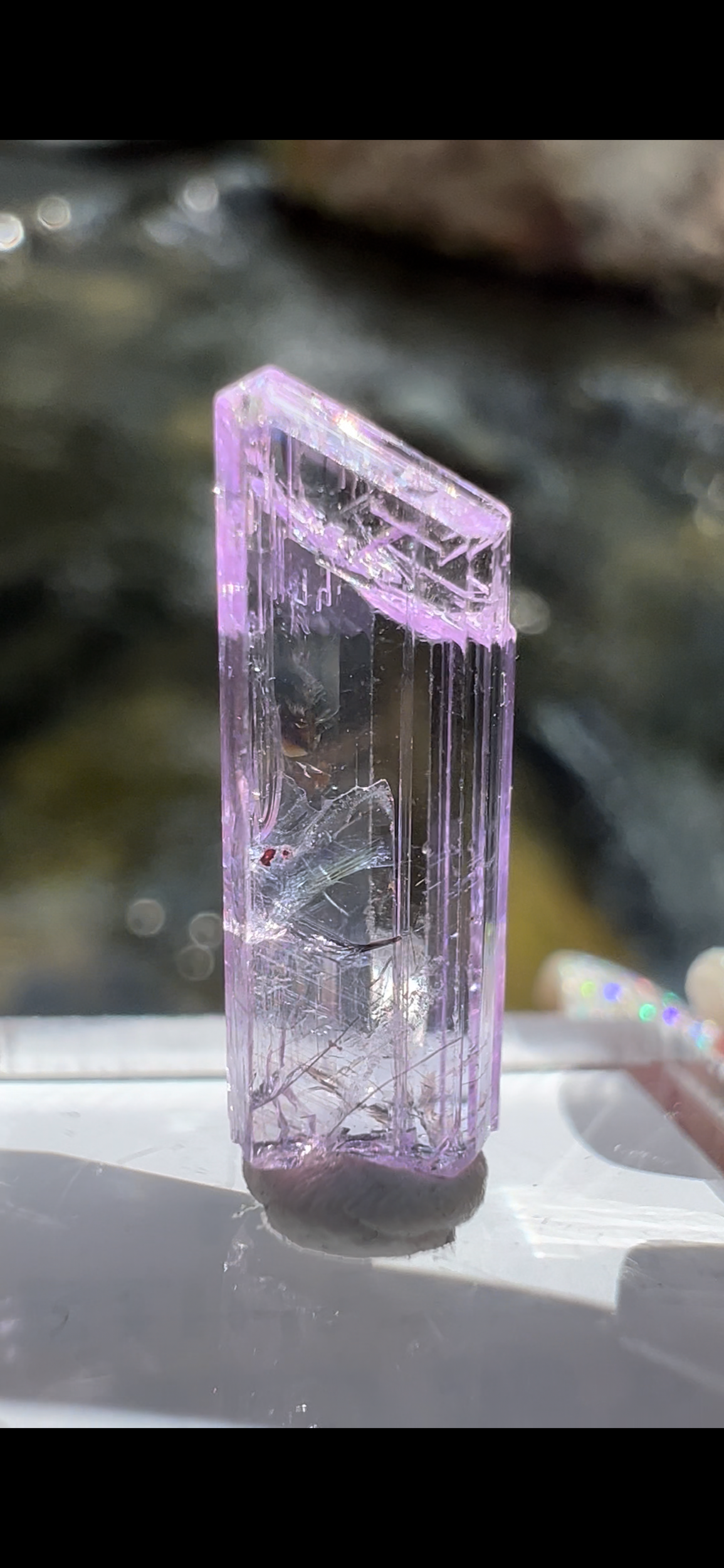 1CB3886E-6C7C-4E98-88A3-1E1B392B00B4