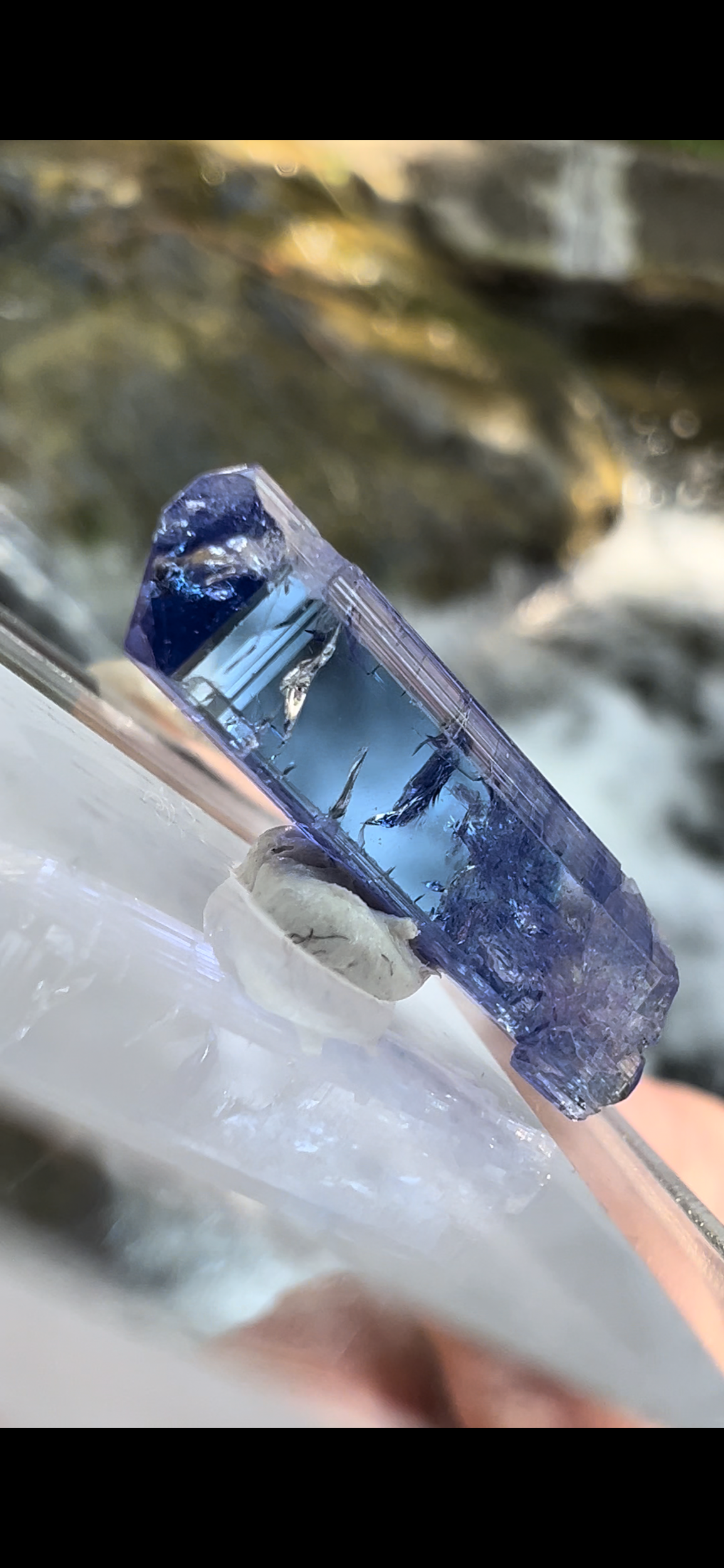 8C6995FC-A487-4024-BBD6-EEA892E50841