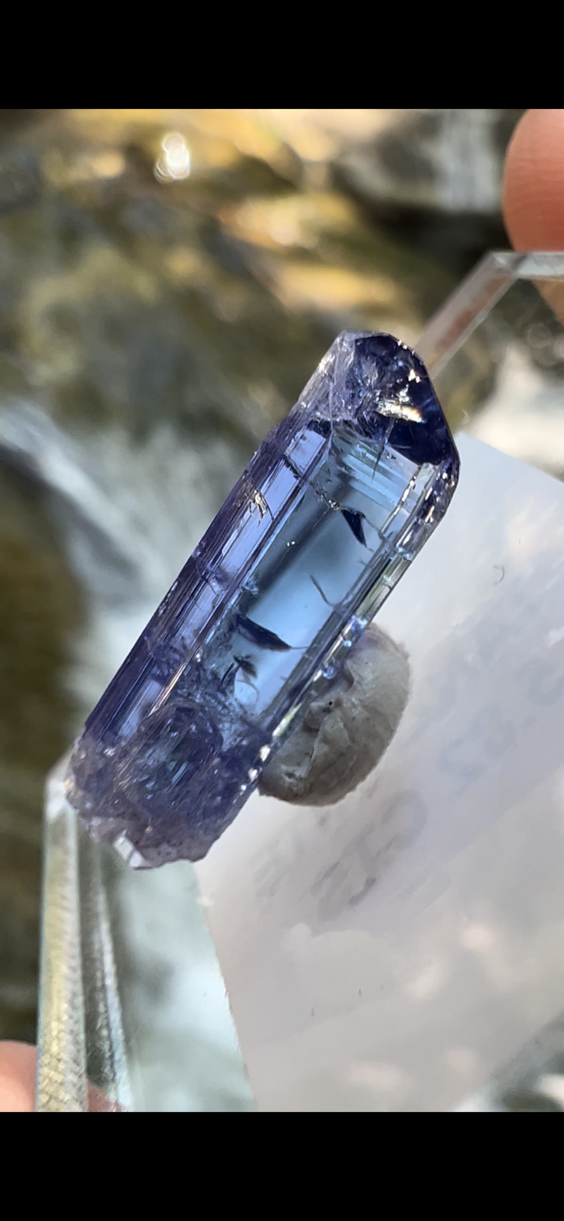 2F92661D-154F-4001-8703-32D87CCCAAE3