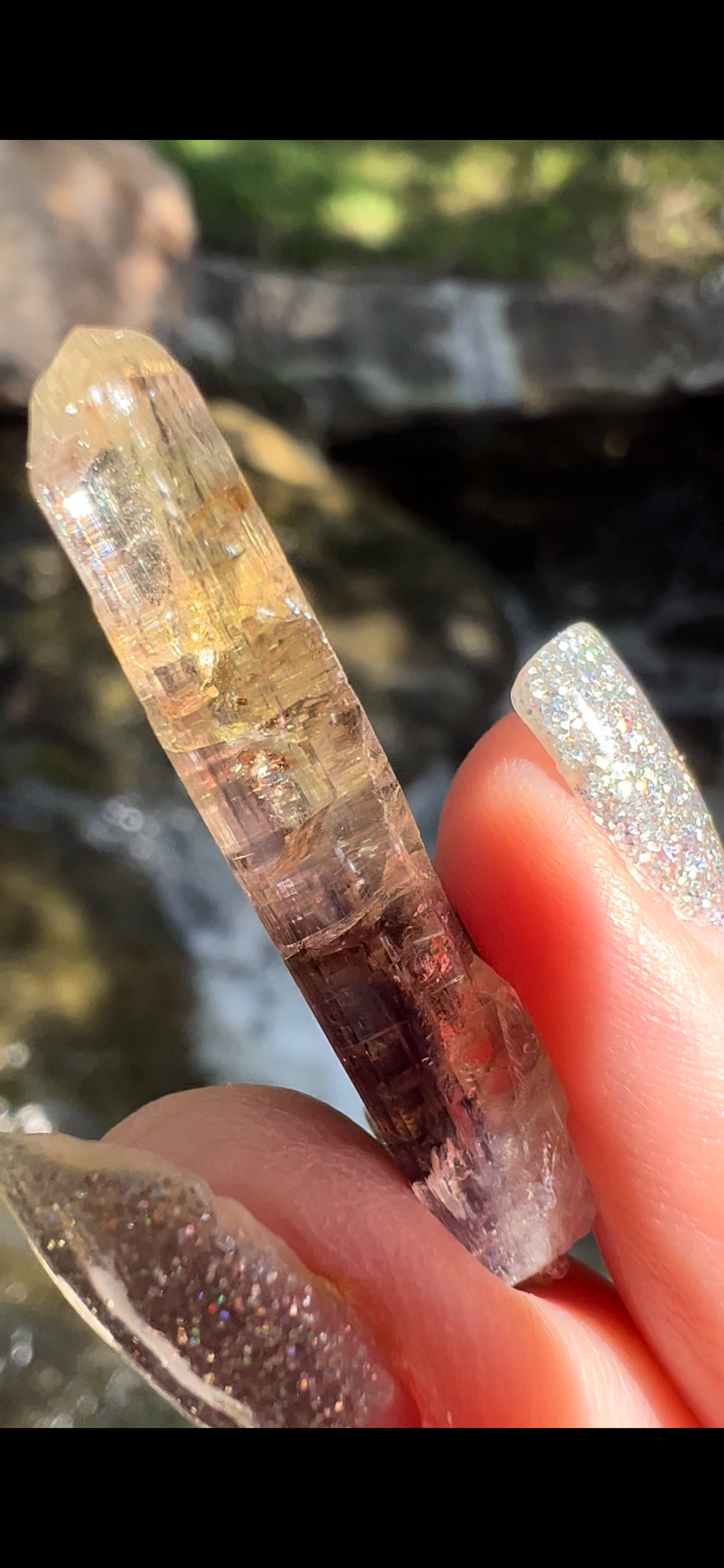 B2DE3426-953A-4346-9650-D39B5BBCFDEF