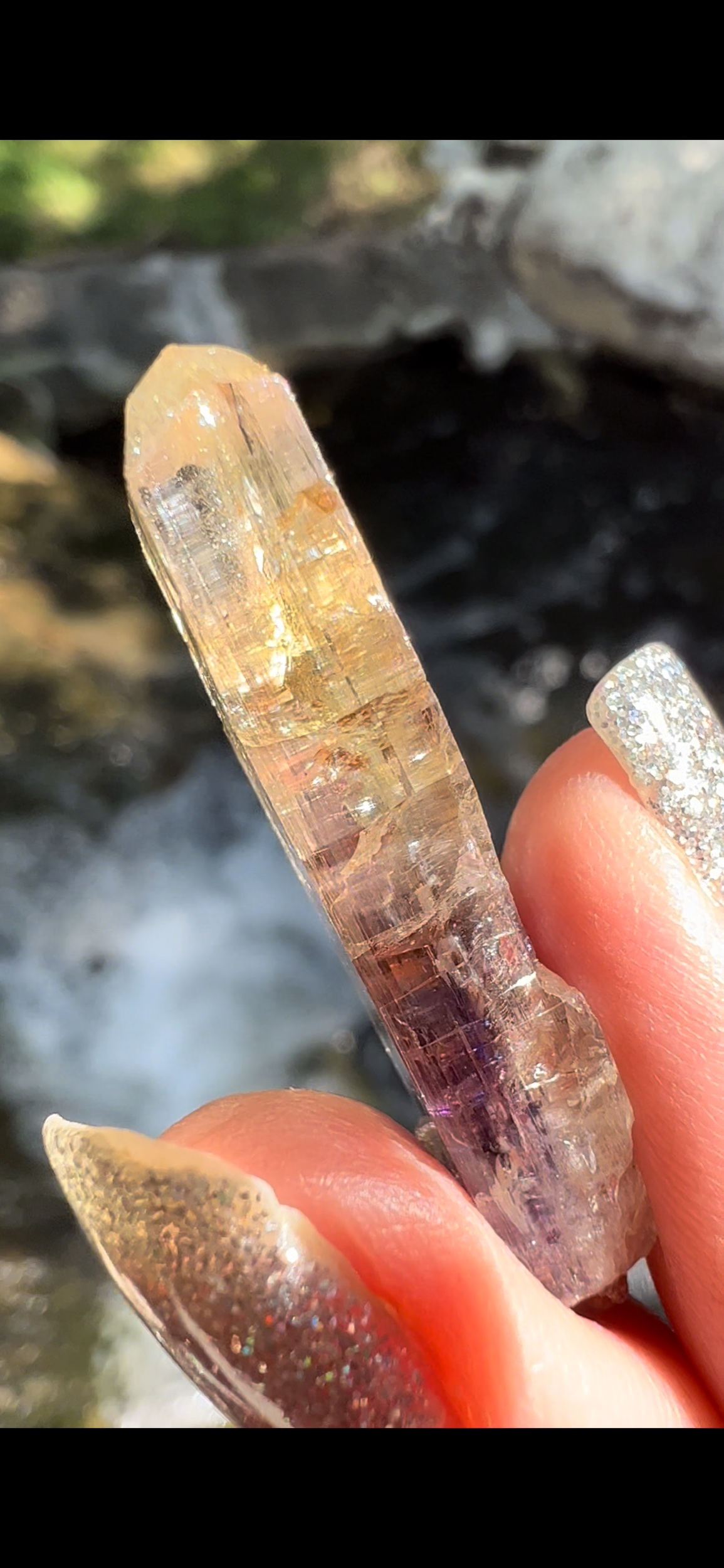 EF4A63DC-CF61-465E-97D7-B893AE8CD0A9