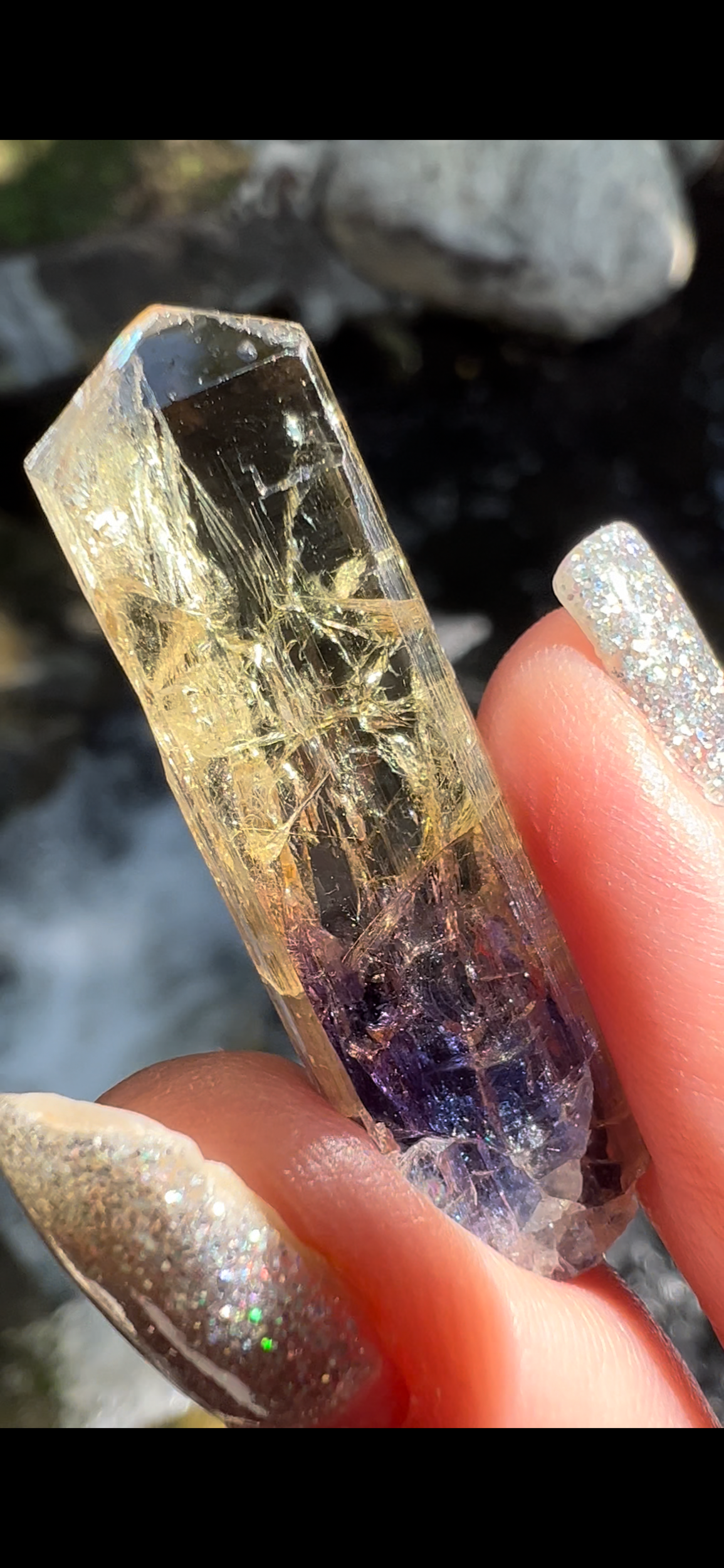 4634CFD2-A88A-49E4-85D1-DC764B36958C