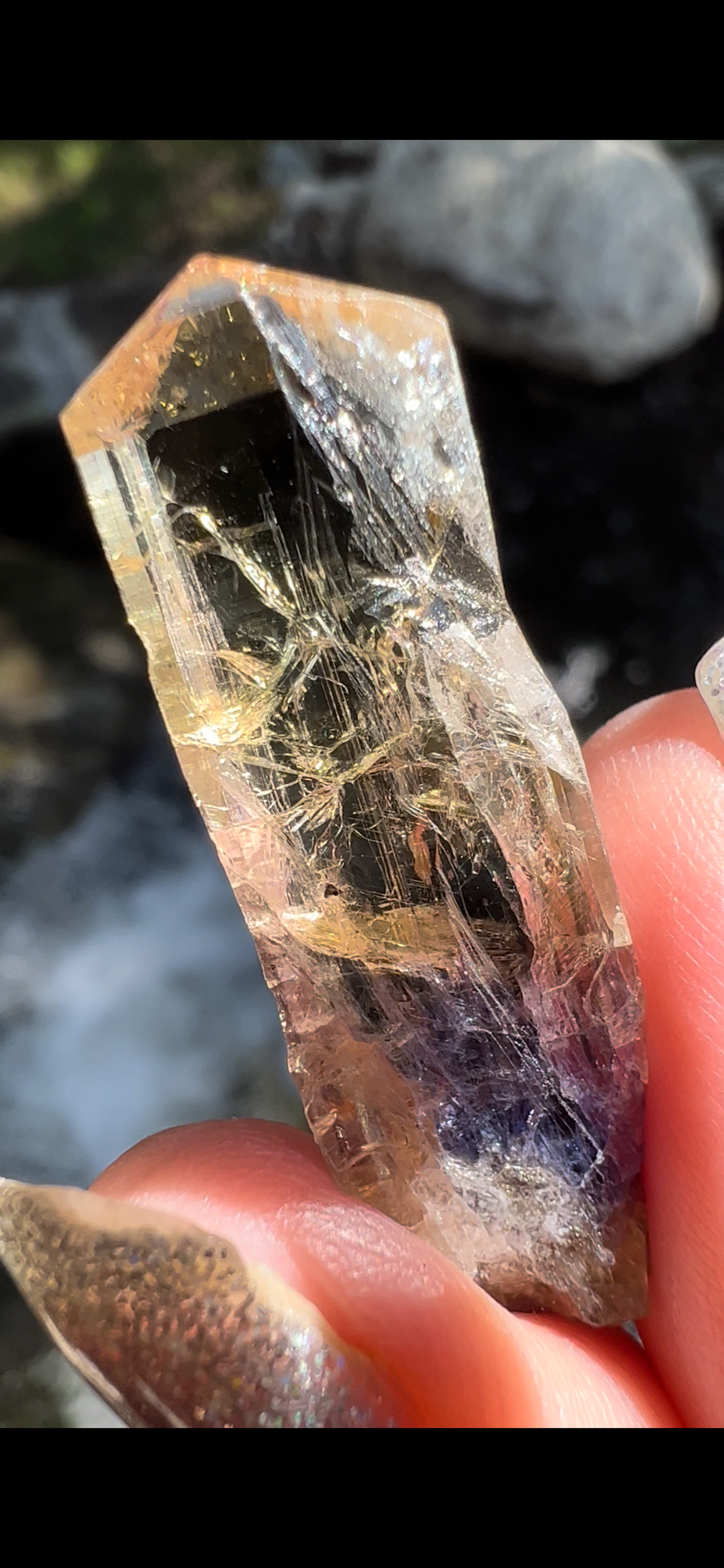 BC948498-968D-4078-81F9-5D35563312DE