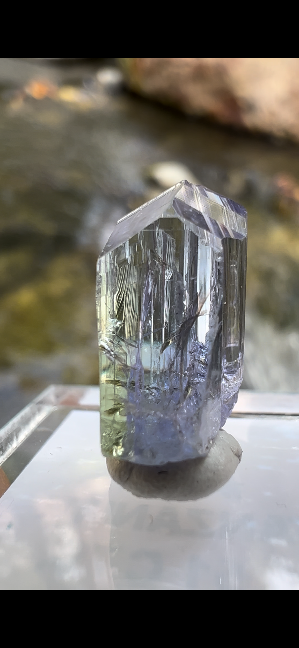 331594E8-2261-463C-BBB0-7D13A31F214C