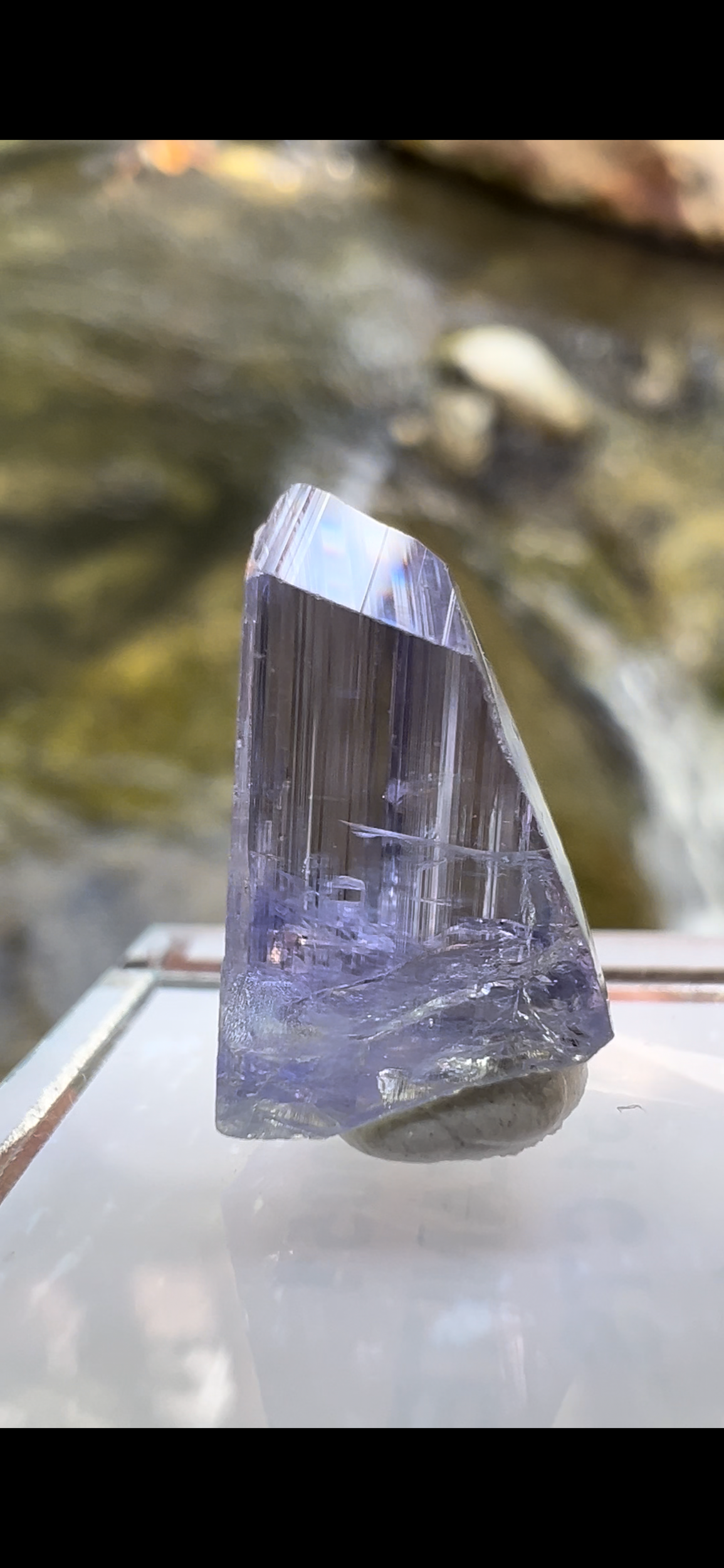 738433DA-6C44-40DE-BA3E-2F3BB4043C7D