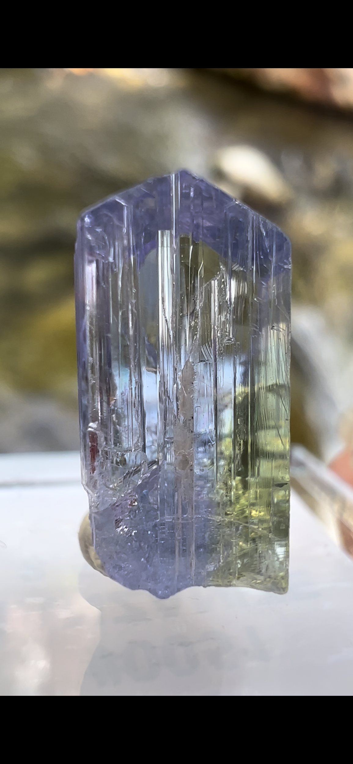 7310A7A5-6395-46E3-BEDE-D30FAD7B5A01