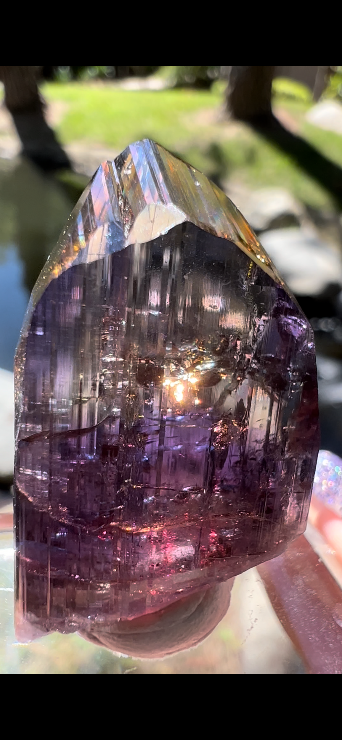 14AC5B94-C4E0-4B18-BE92-7845FB7B167E