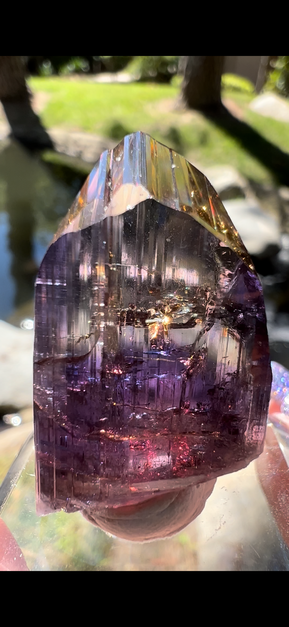 F745695D-0DD3-4D59-B032-1F37DD748D5E