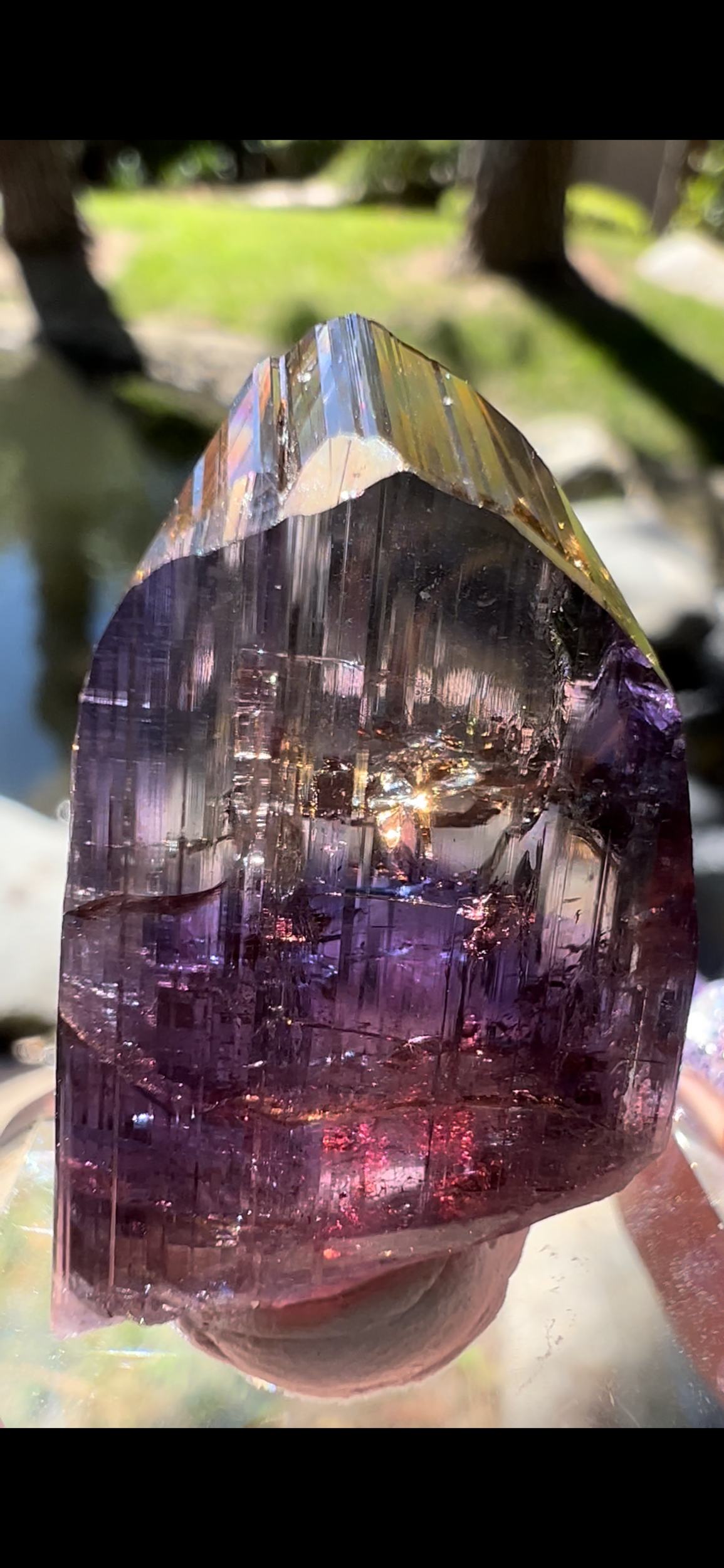 85673FA0-4840-4BEA-8C11-61AC9AEC8882