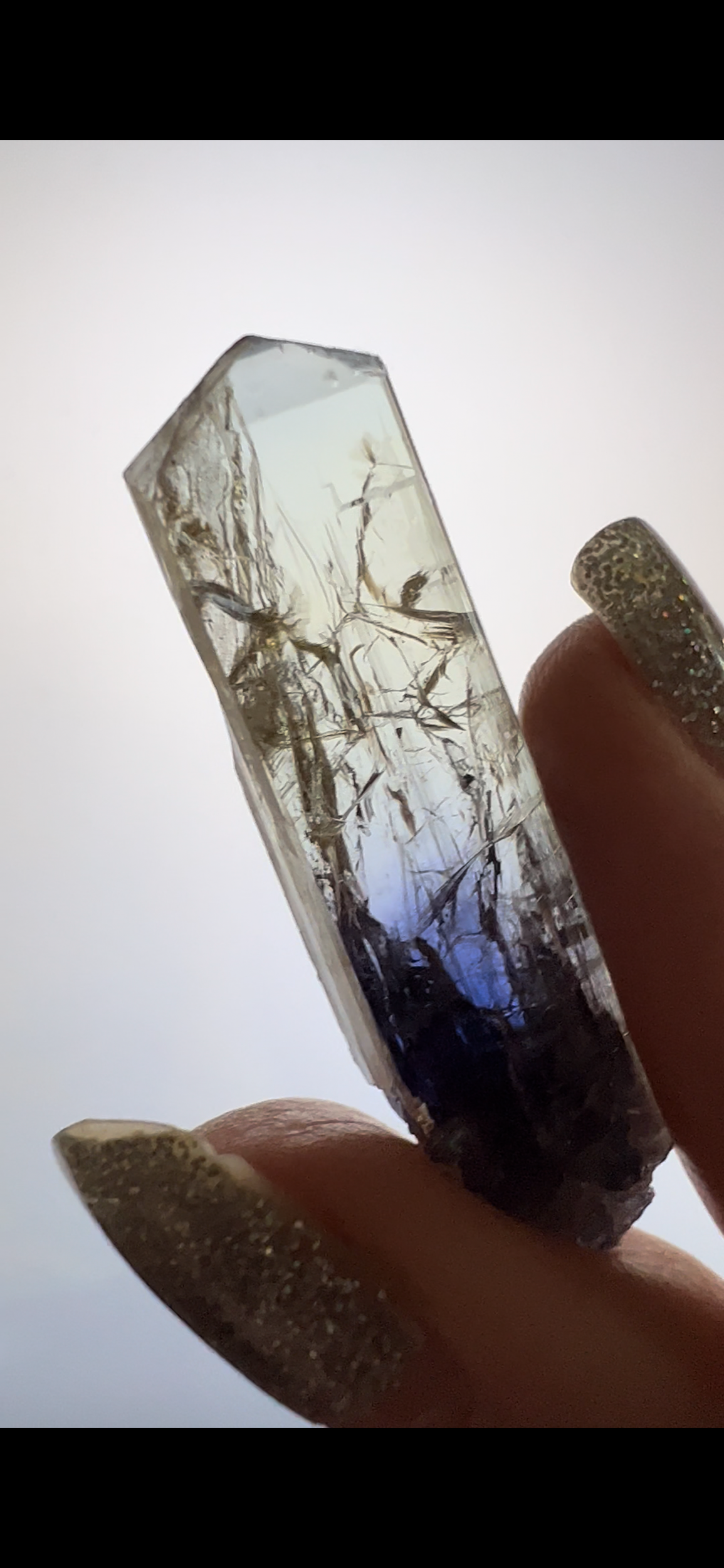 EC5A8558-04D3-4286-820B-7D619343696C