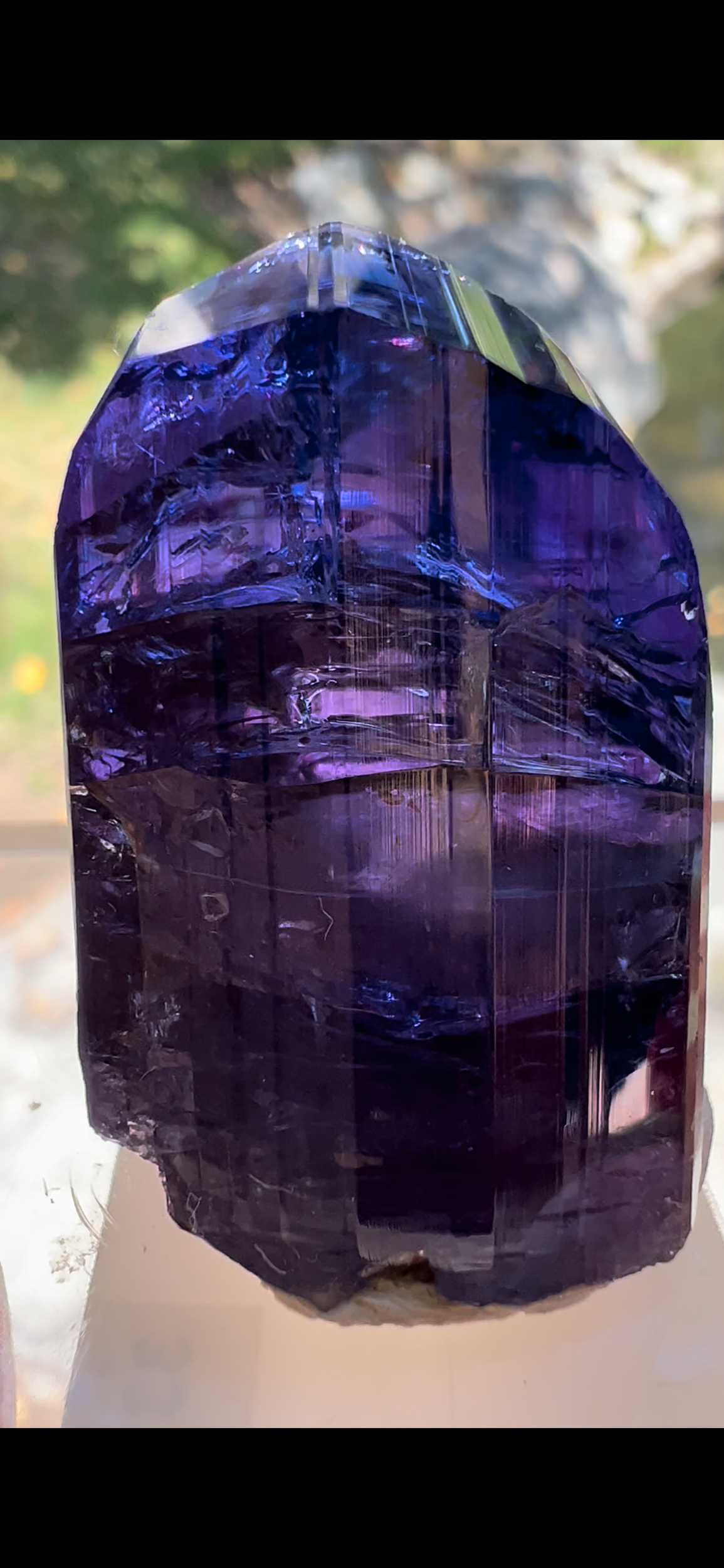 B616009E-D678-4161-82AF-BDD9BABBA3BE