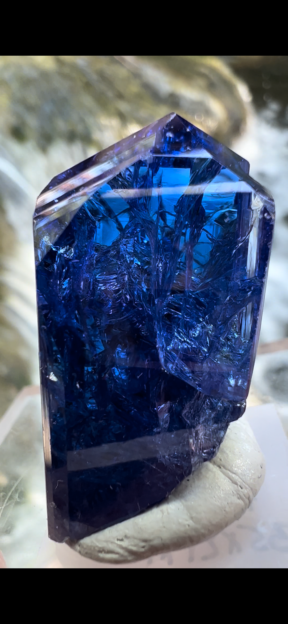 210DD9BE-95FF-4DBC-BDCC-0ADD286CB971