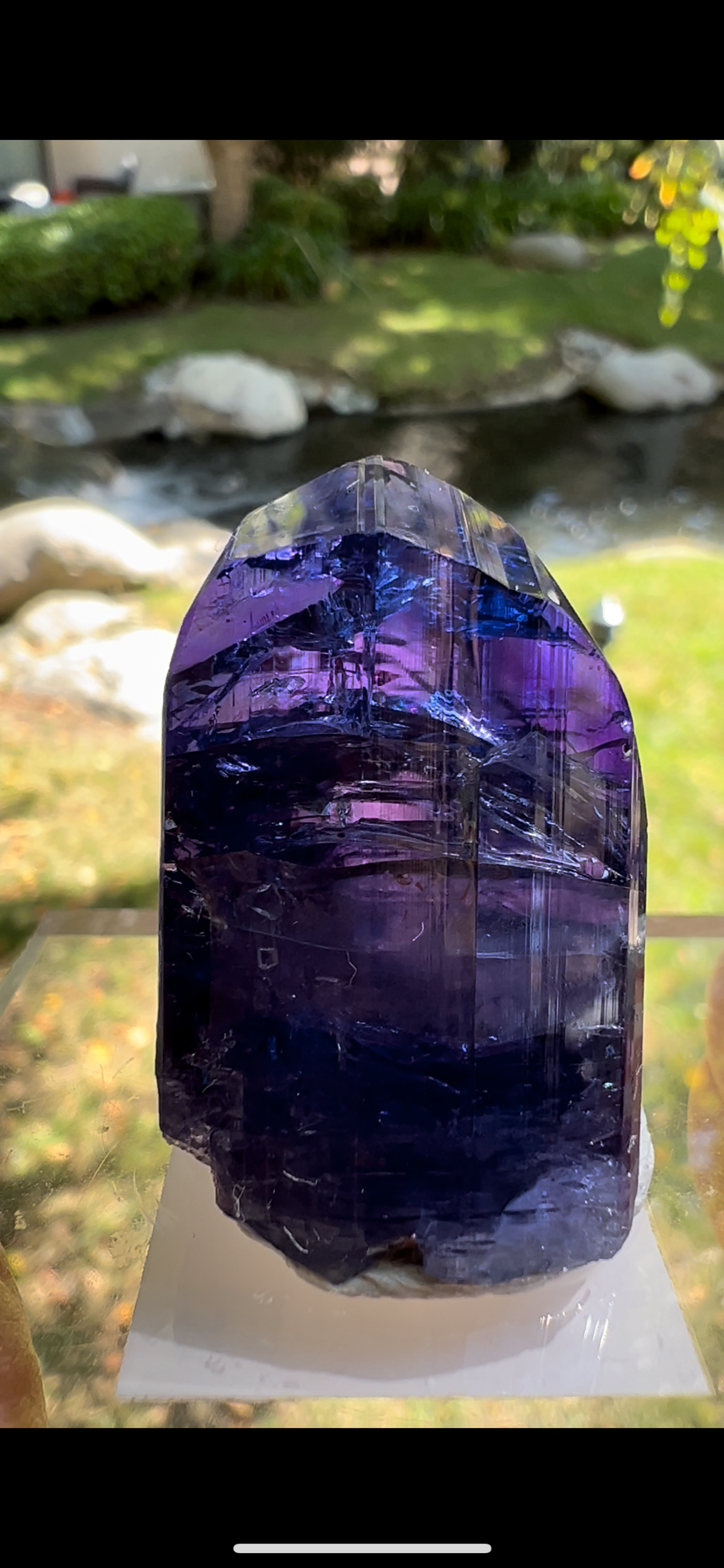 976996F1-1B73-4141-8CF0-C51B8EA92BB0