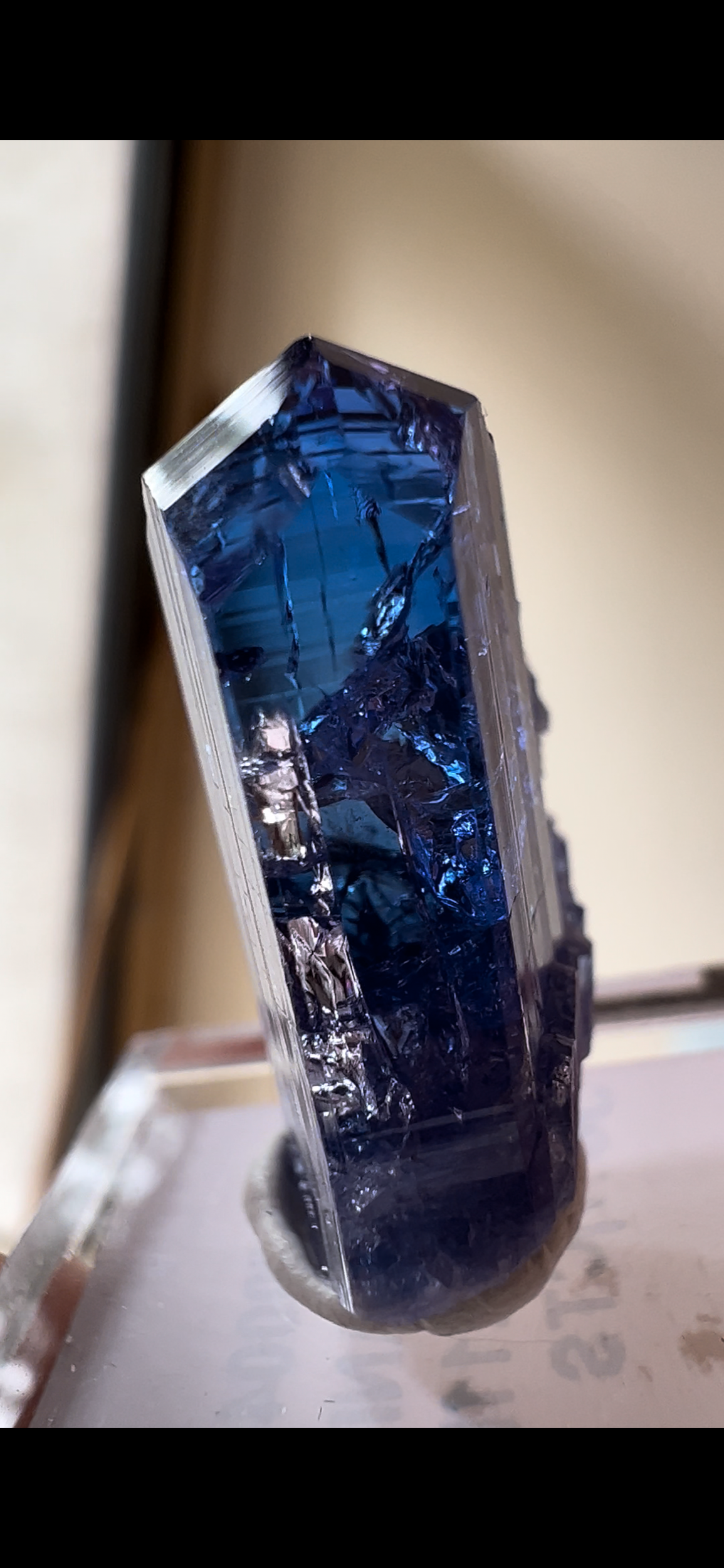 5A78A561-9211-4268-B25D-402E918447C2