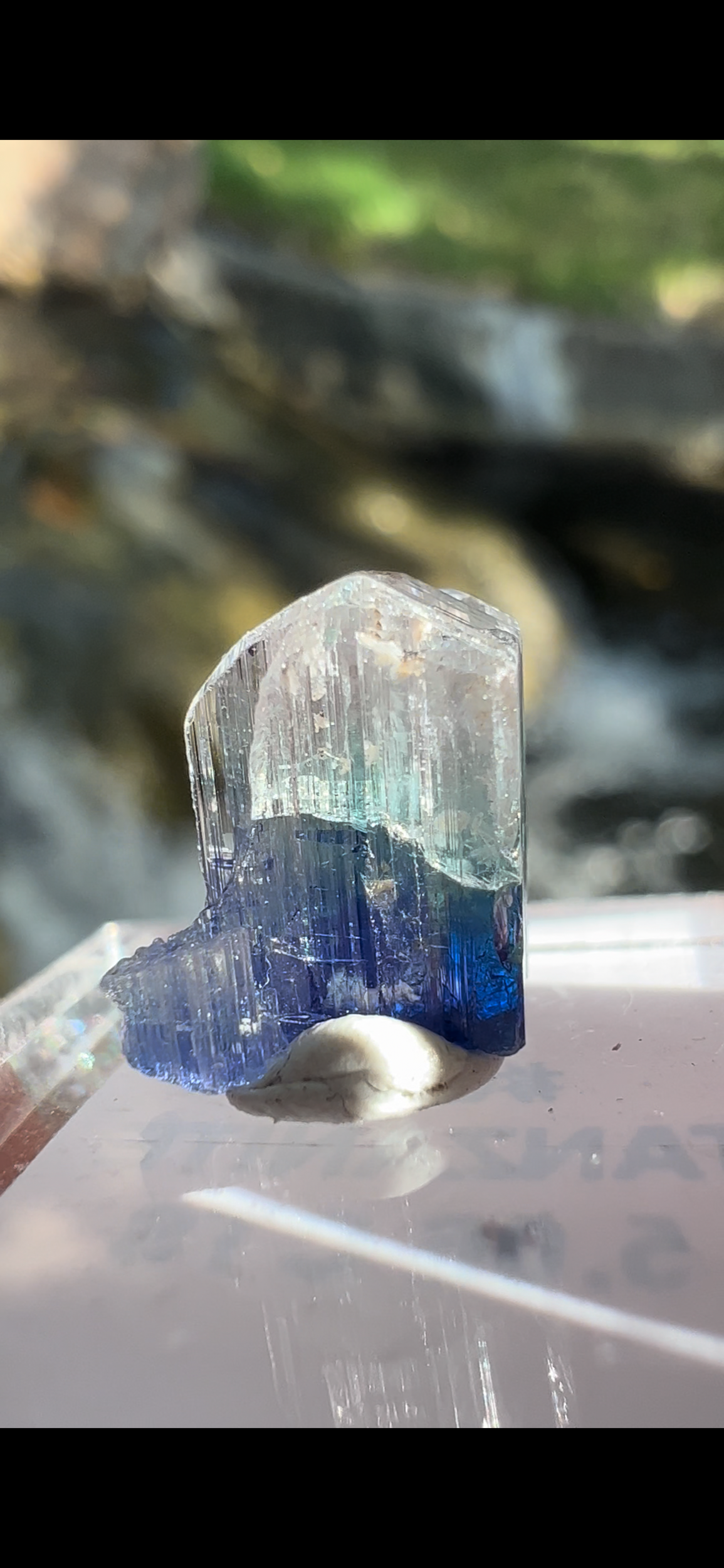 E406CF47-DF05-4CF3-BE30-240F066AB2D1