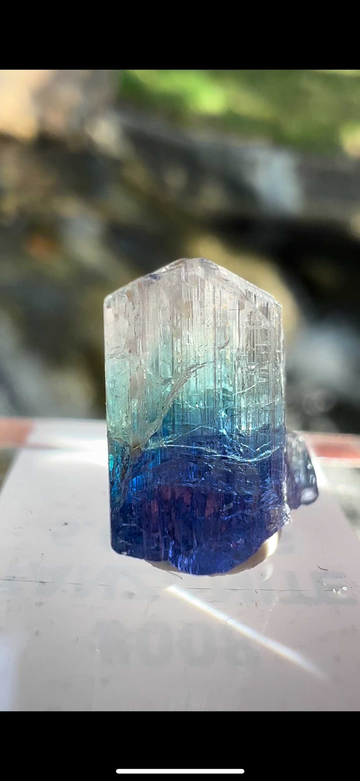 E8D0A2D0-3579-436C-909F-F5526897A5E2