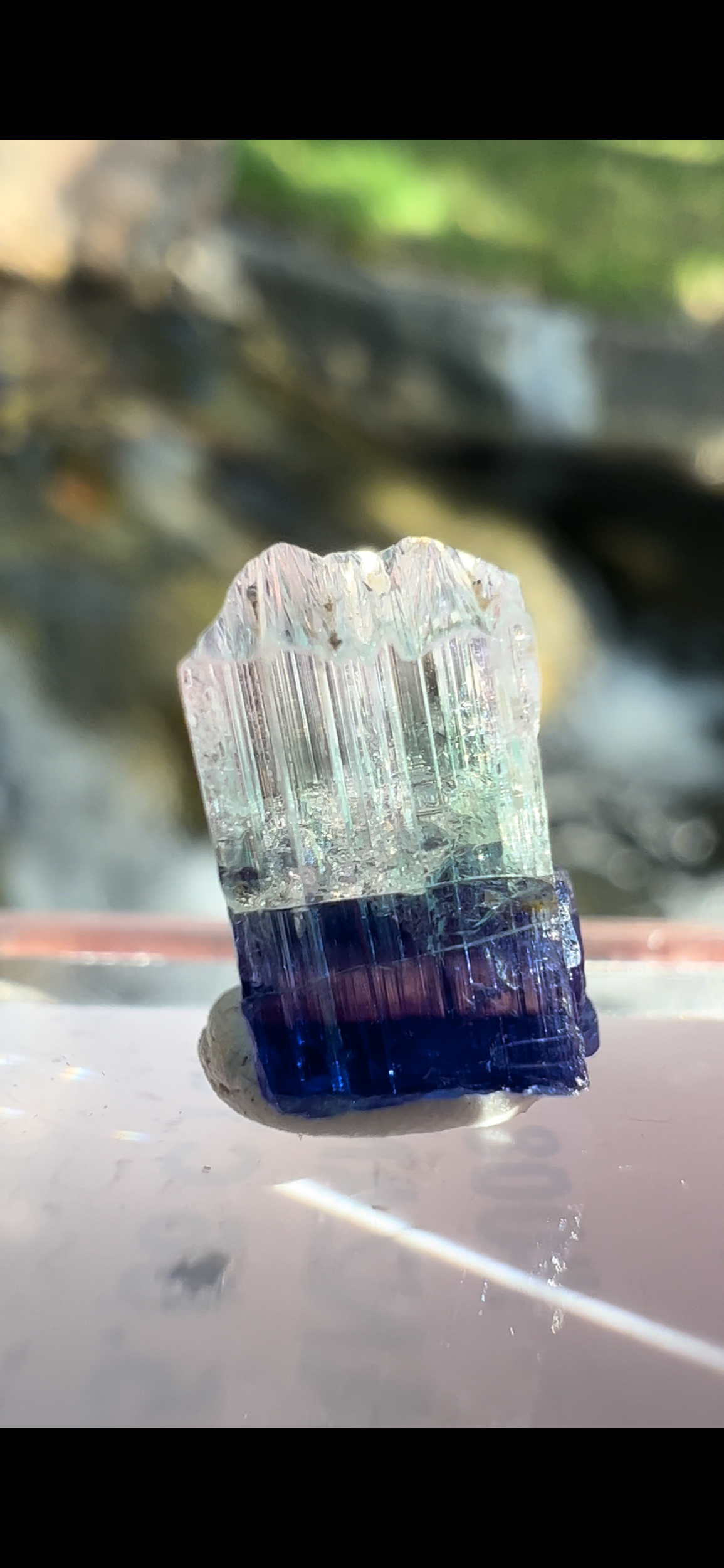 10C68997-80F5-4B13-B7C9-12E7C371637A